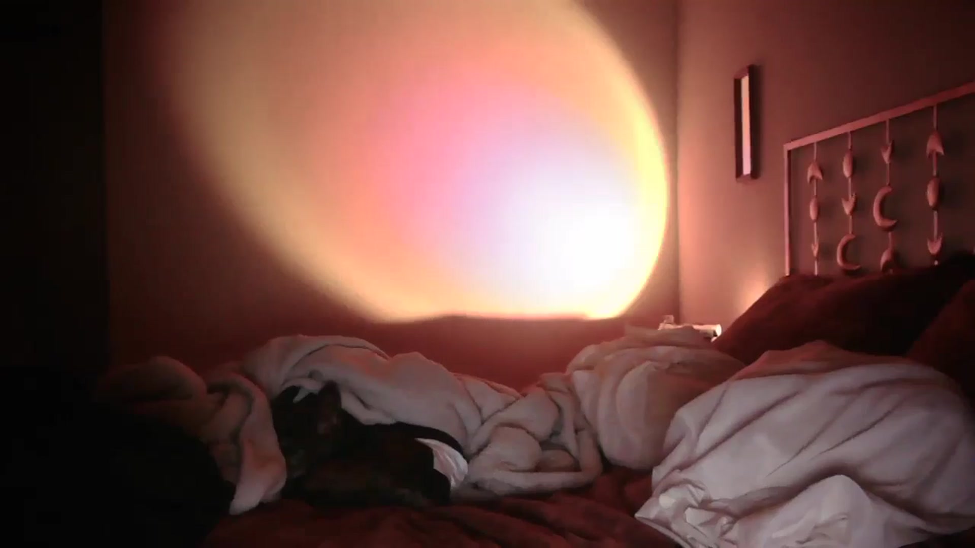 Gallery image thumbnail from TitsMcgeee's myfreecams stream on, 04/13/2025, 07:31 image 14 of 20