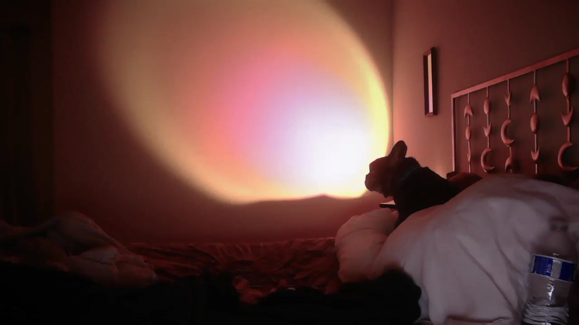 Gallery image thumbnail from TitsMcgeee's myfreecams stream on, 04/16/2025, 05:50 image 5 of 20