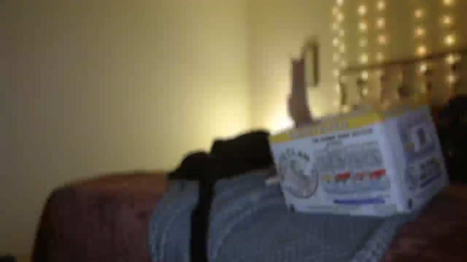 Gallery image thumbnail from TitsMcgeee's myfreecams stream on, 09/07/2025, 06:12 image 9 of 20