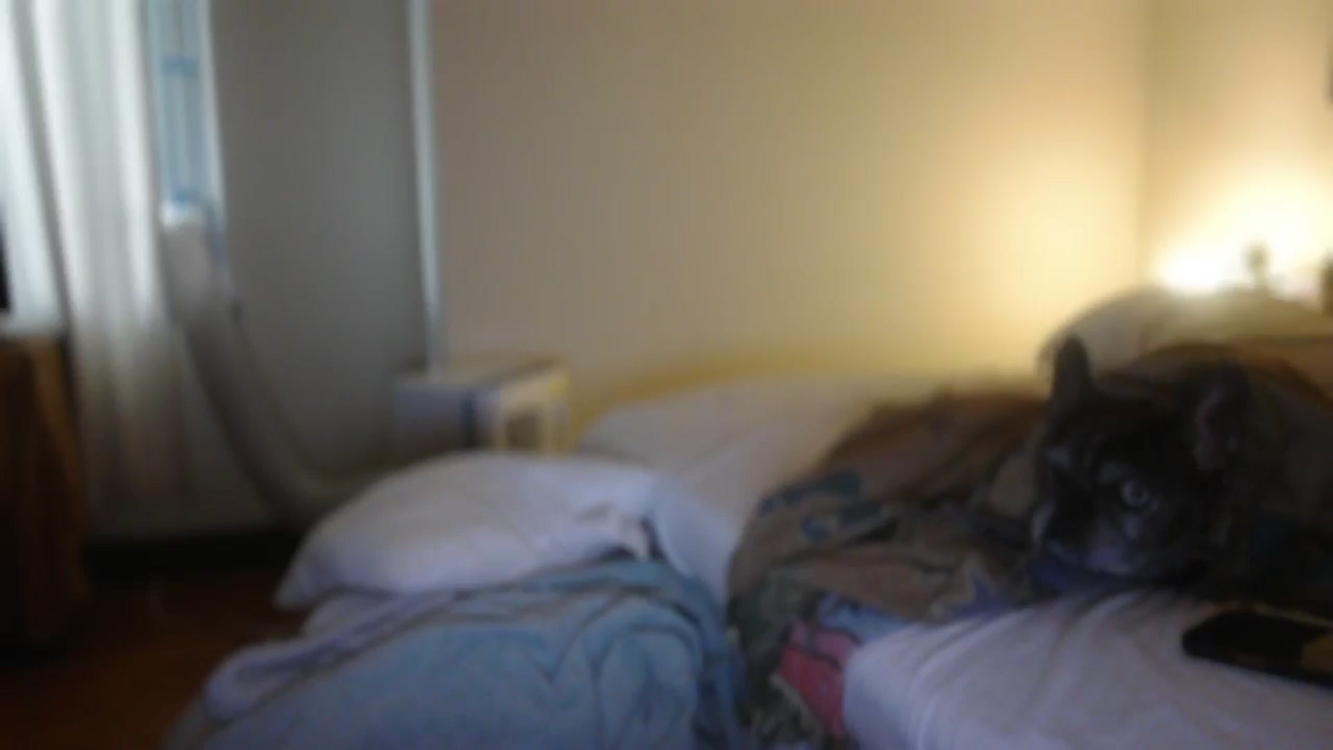 Gallery image thumbnail from TitsMcgeee's myfreecams stream on, 10/04/2025, 24:47 image 17 of 20