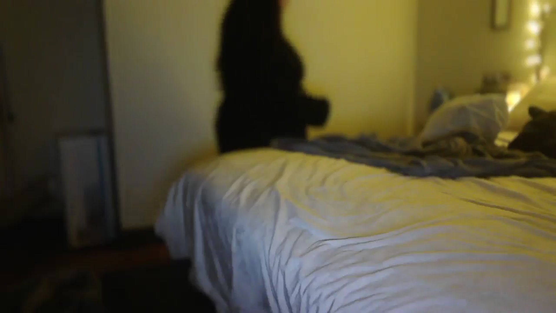 Gallery image thumbnail from TitsMcgeee's myfreecams stream on, 12/15/2025, 02:43 image 8 of 20