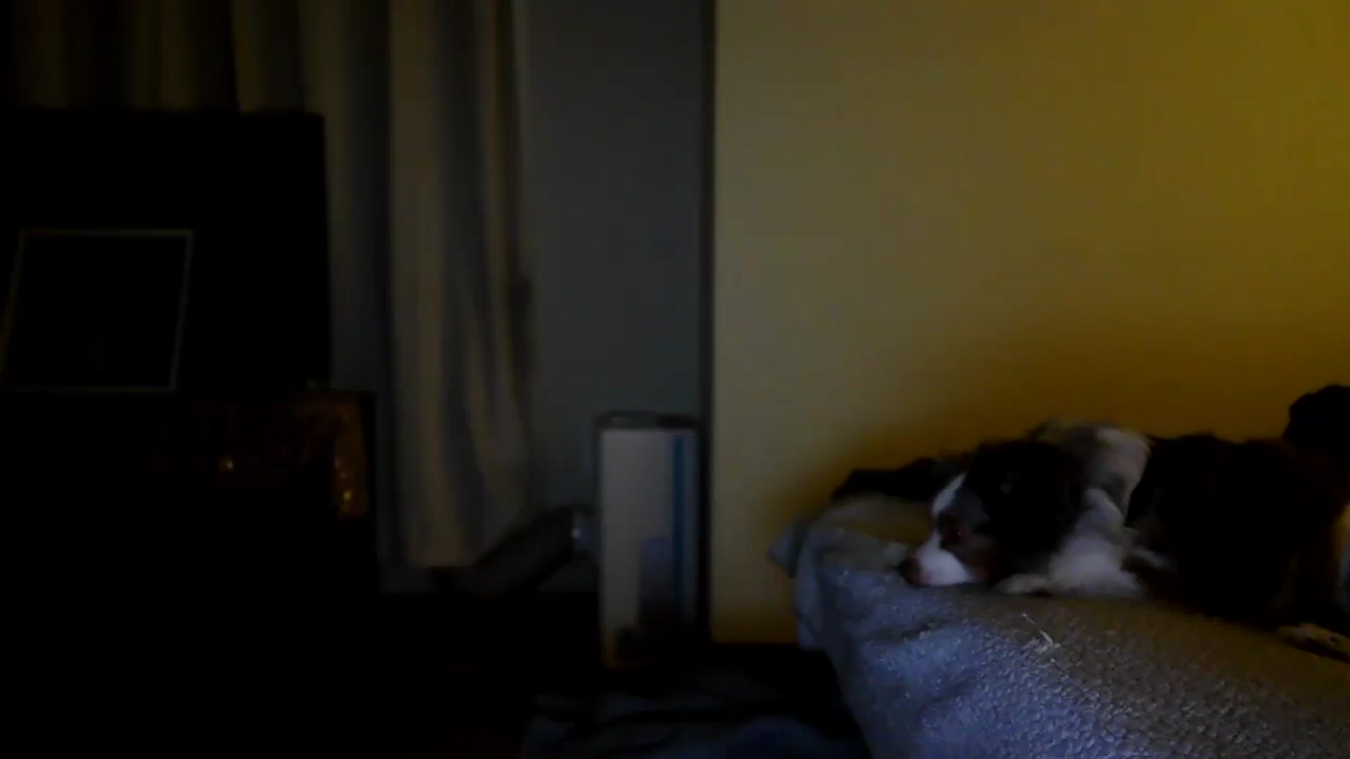 Gallery image thumbnail from TitsMcgeee's myfreecams stream on, 02/15/2026, 09:56 image 2 of 20
