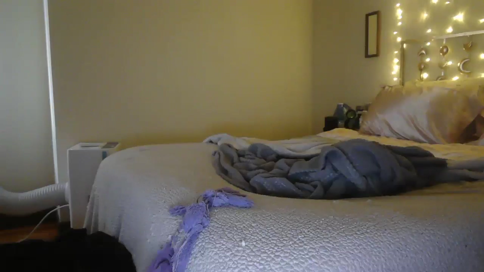 Gallery image thumbnail from TitsMcgeee's myfreecams stream on, 02/23/2026, 21:00 image 18 of 20