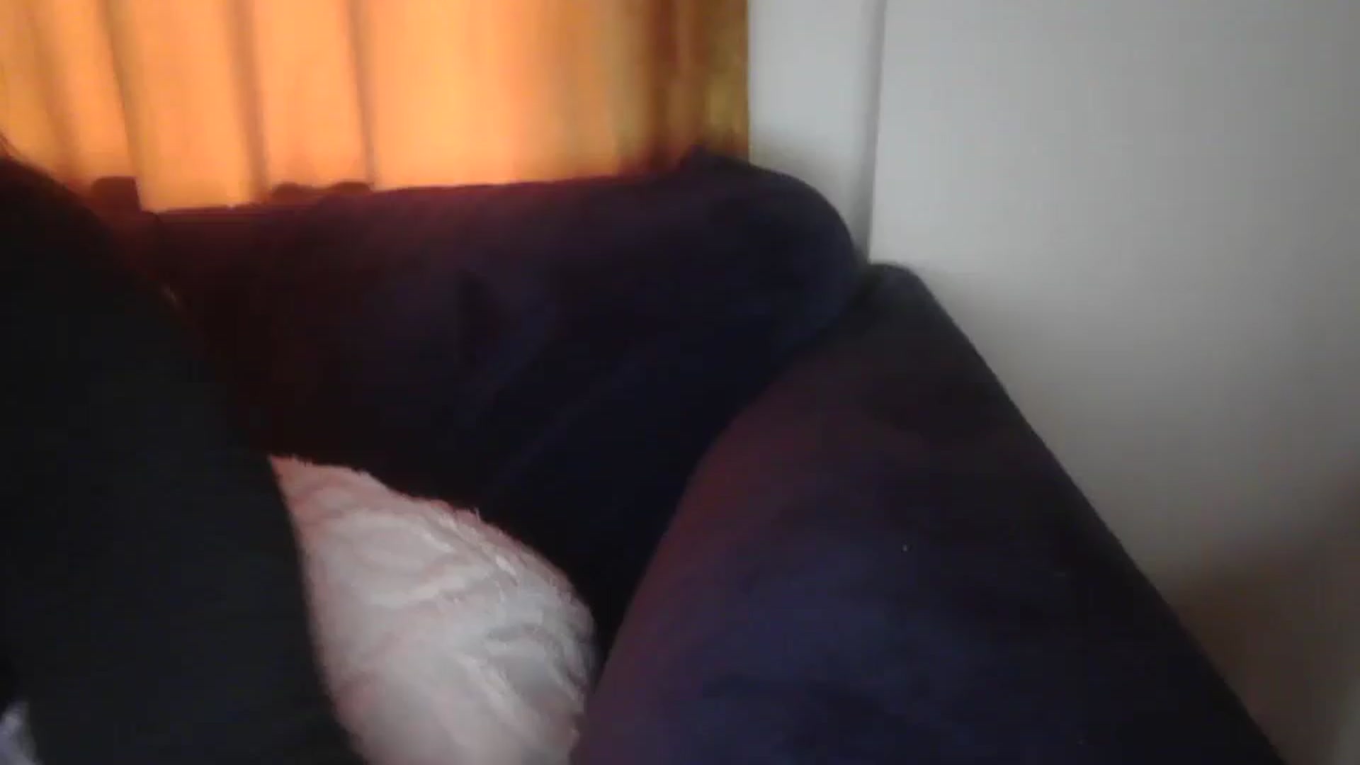 Gallery image thumbnail from TitsMcgeee's myfreecams stream on, 03/08/2026, 22:19 image 10 of 20