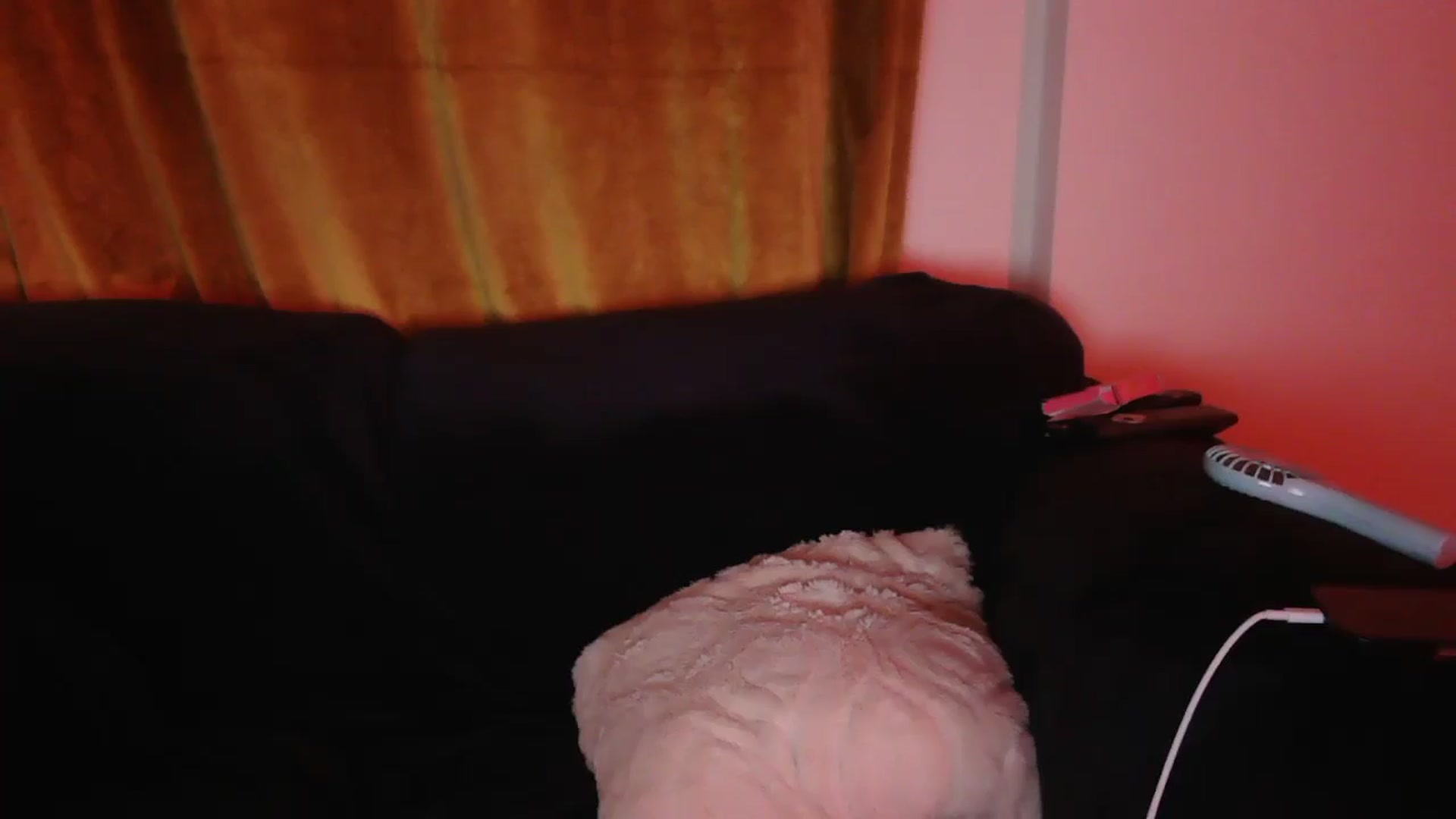 Gallery image thumbnail from TitsMcgeee's myfreecams stream on, 03/18/2026, 07:40 image 2 of 20