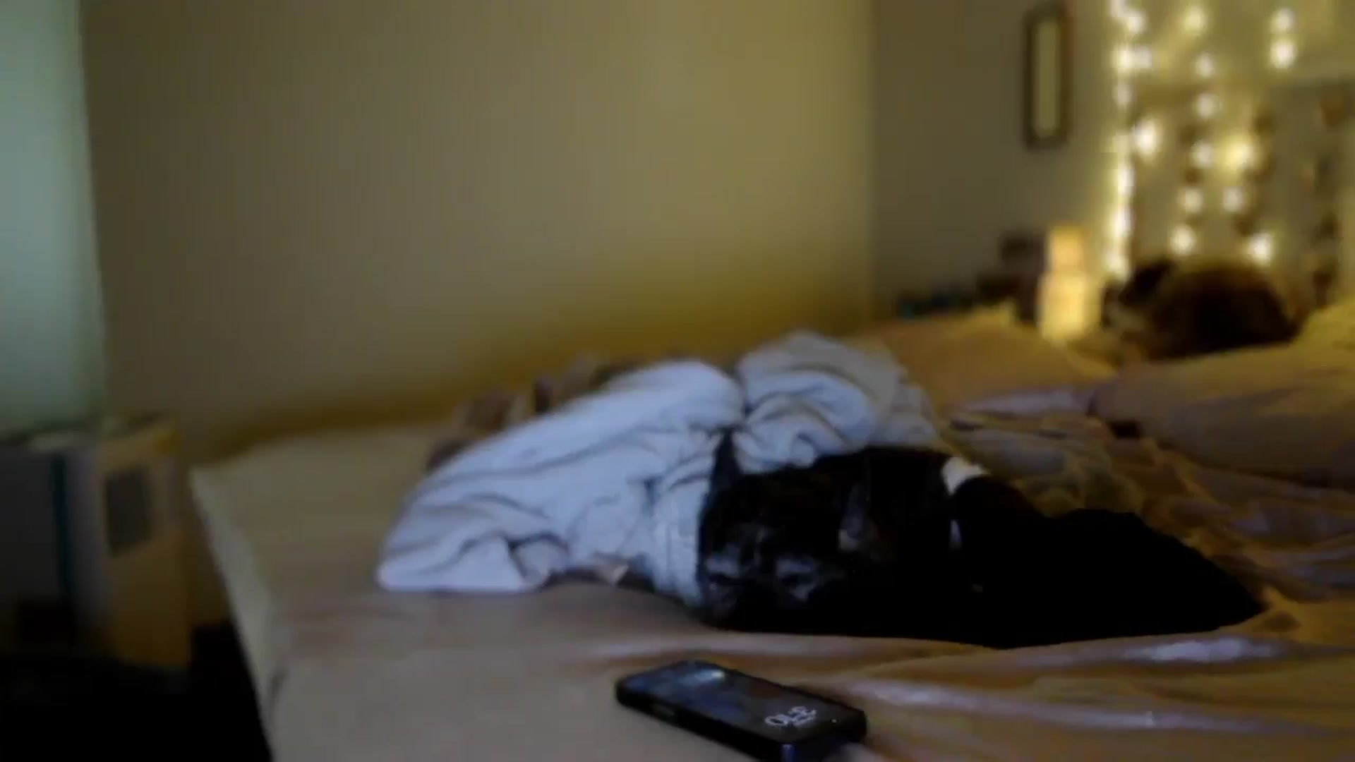 Gallery image thumbnail from TitsMcgeee's myfreecams stream on, 05/06/2026, 24:23 image 3 of 20
