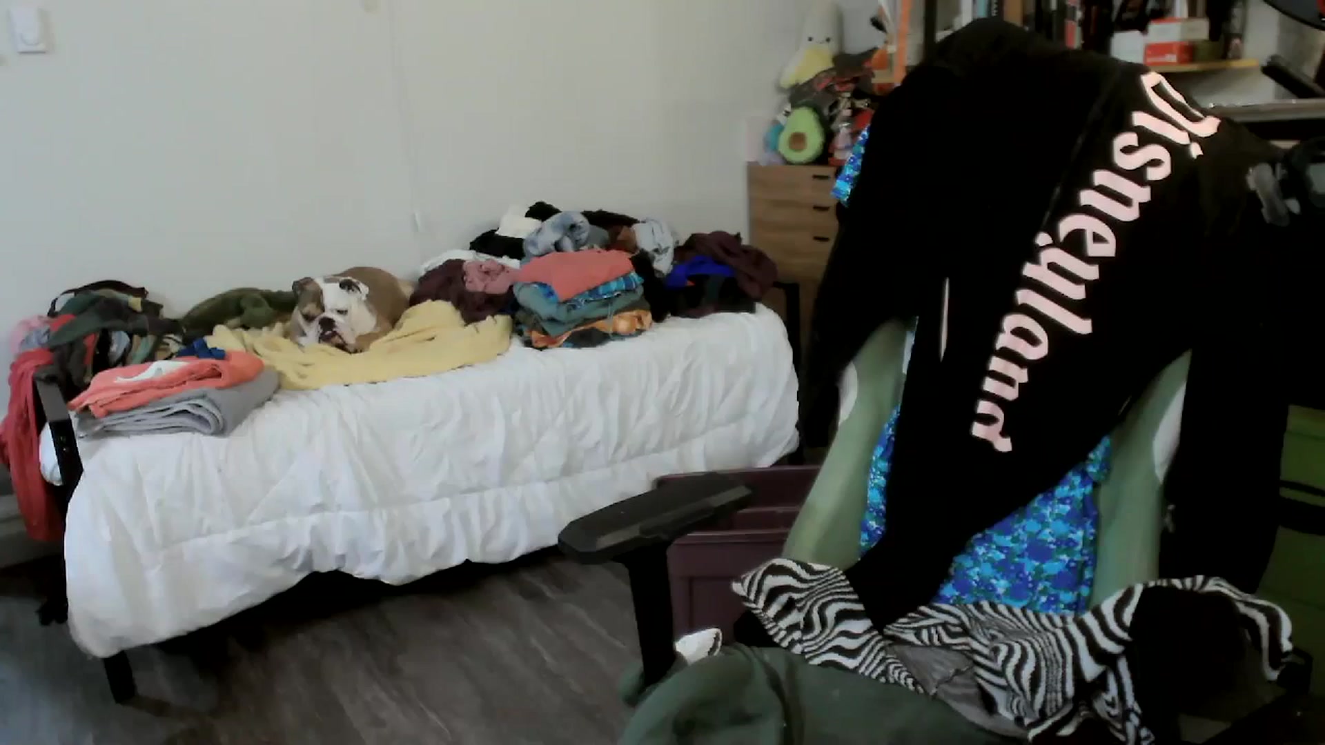 Gallery image thumbnail from ToniTigresse's myfreecams stream on, 03/24/2024, 18:32 image 14 of 20