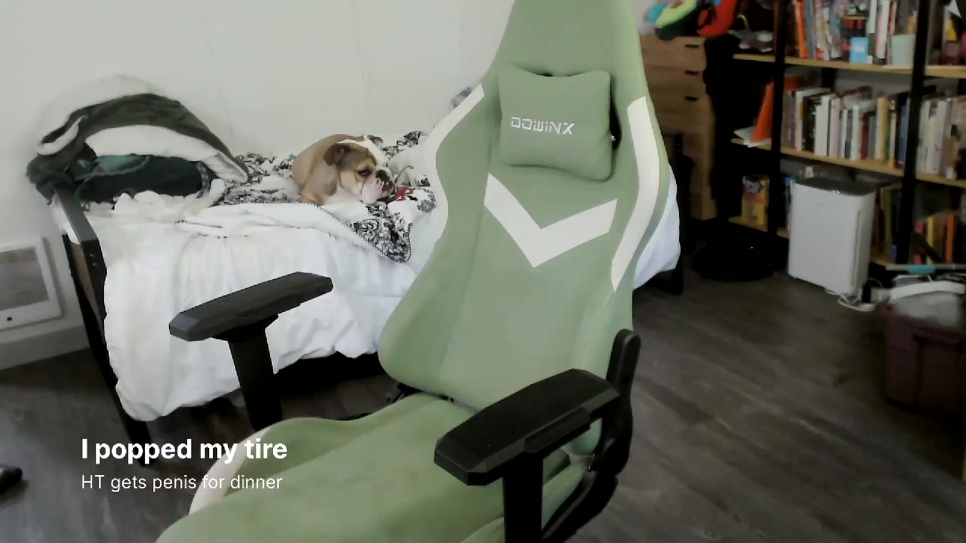 Gallery image thumbnail from ToniTigresse's myfreecams stream on, 04/04/2024, 01:05 image 14 of 20