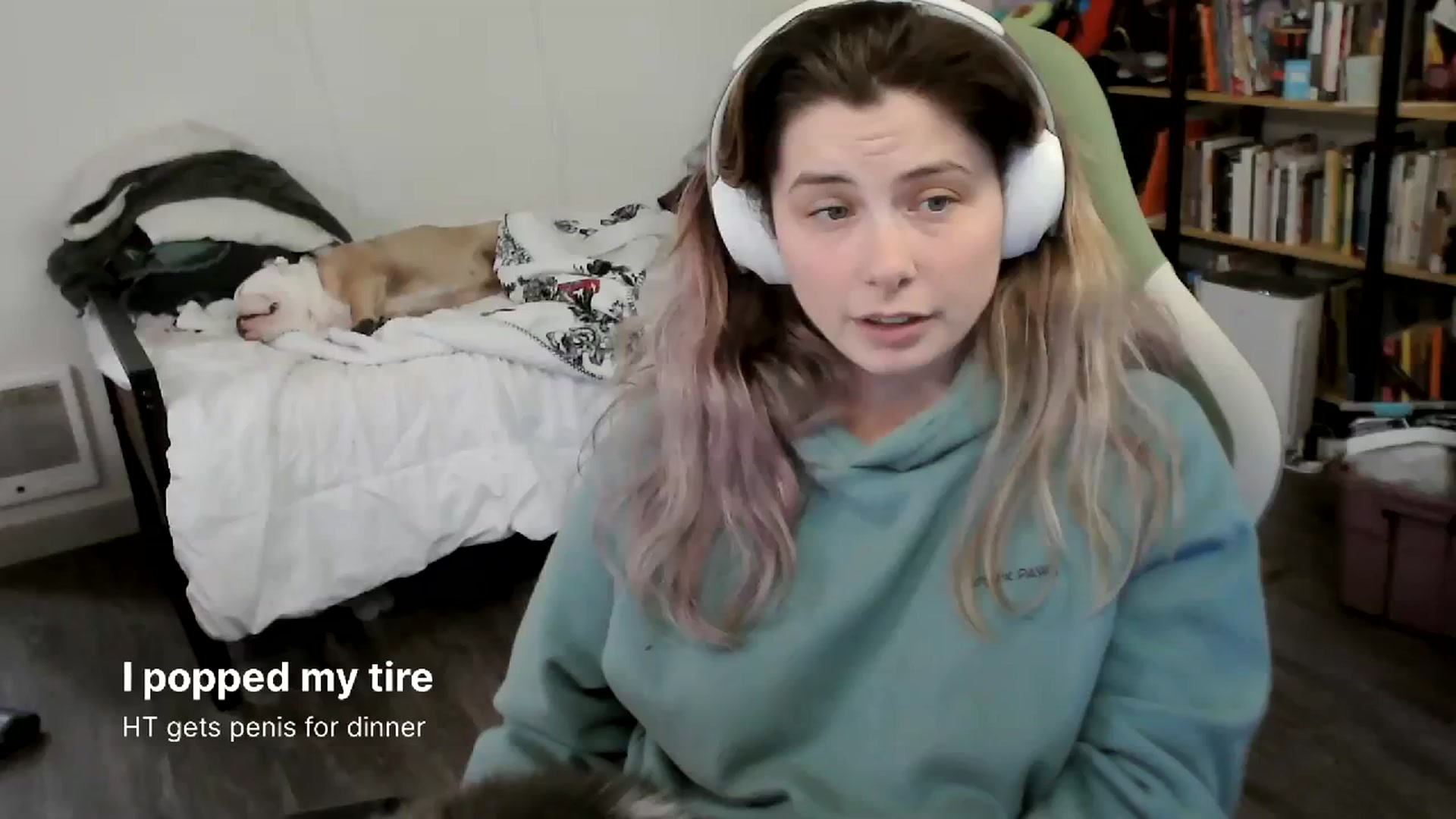 Gallery image thumbnail from ToniTigresse's myfreecams stream on, 04/04/2024, 01:05 image 4 of 20