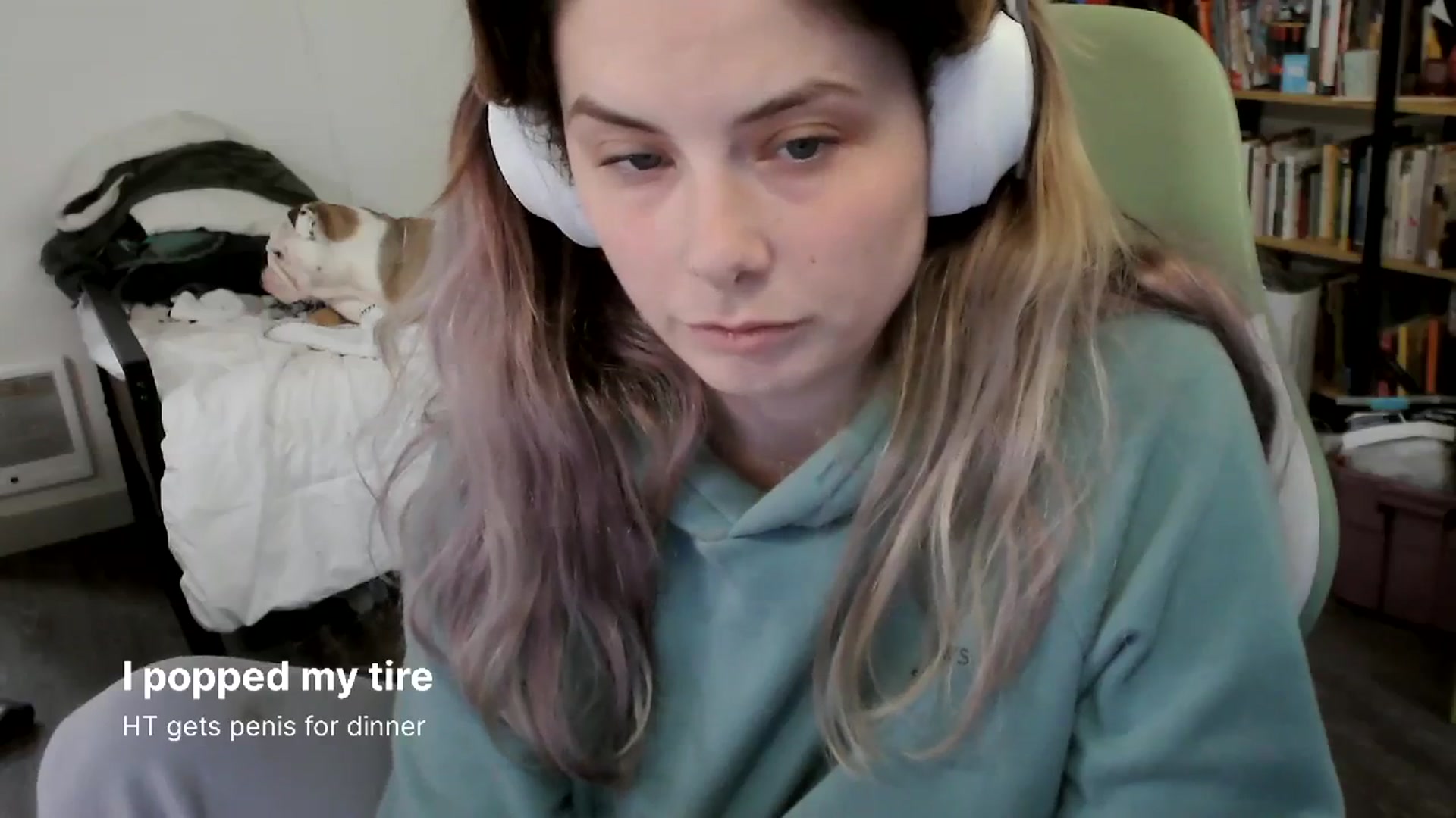 Gallery image thumbnail from ToniTigresse's myfreecams stream on, 04/04/2024, 01:05 image 5 of 20