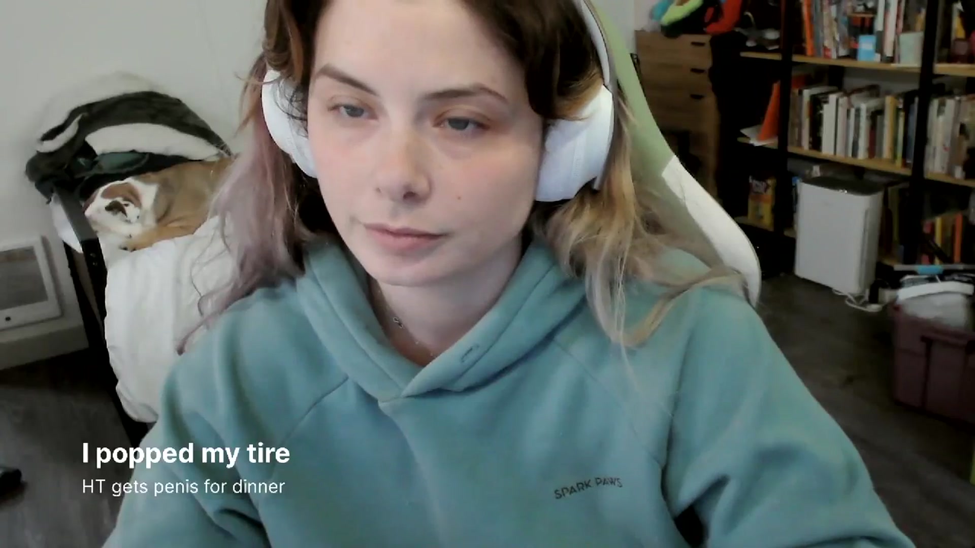 Gallery image thumbnail from ToniTigresse's myfreecams stream on, 04/04/2024, 01:05 image 12 of 20