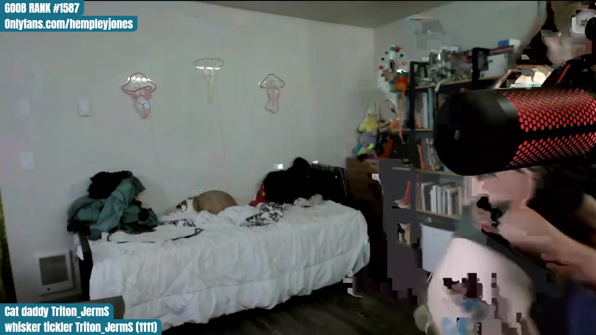 Gallery image thumbnail from ToniTigresse's myfreecams stream on, 04/04/2024, 21:10 image 6 of 20
