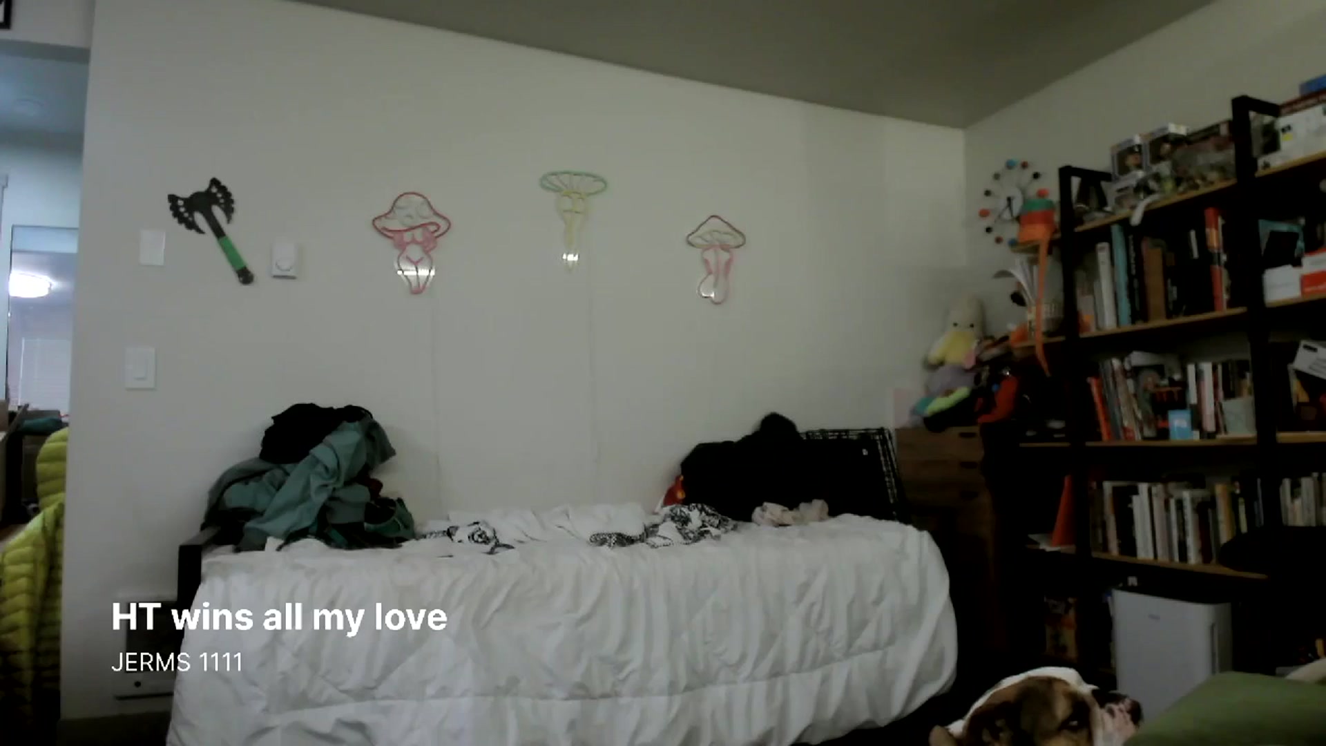 Gallery image thumbnail from ToniTigresse's myfreecams stream on, 04/04/2024, 21:10 image 13 of 20