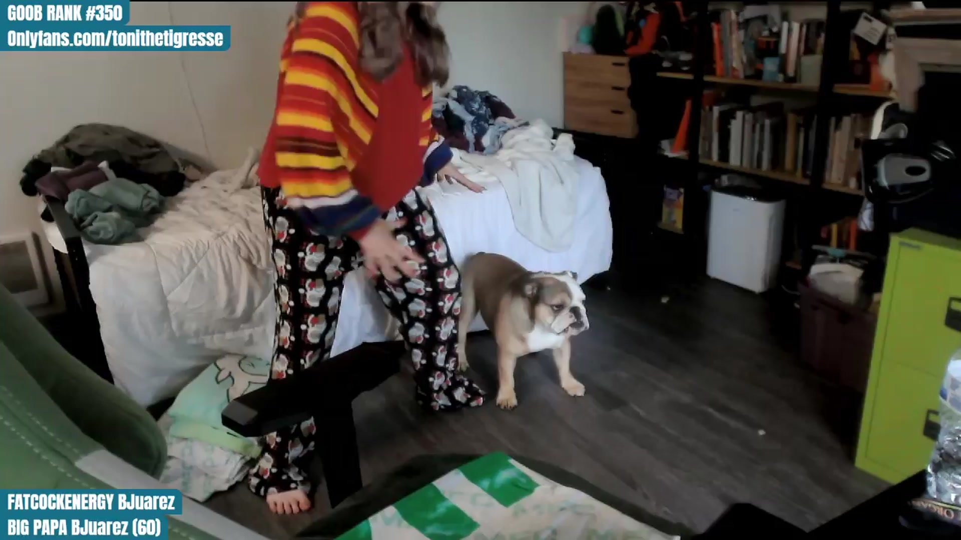 Gallery image thumbnail from ToniTigresse's myfreecams stream on, 04/06/2024, 17:13 image 12 of 20