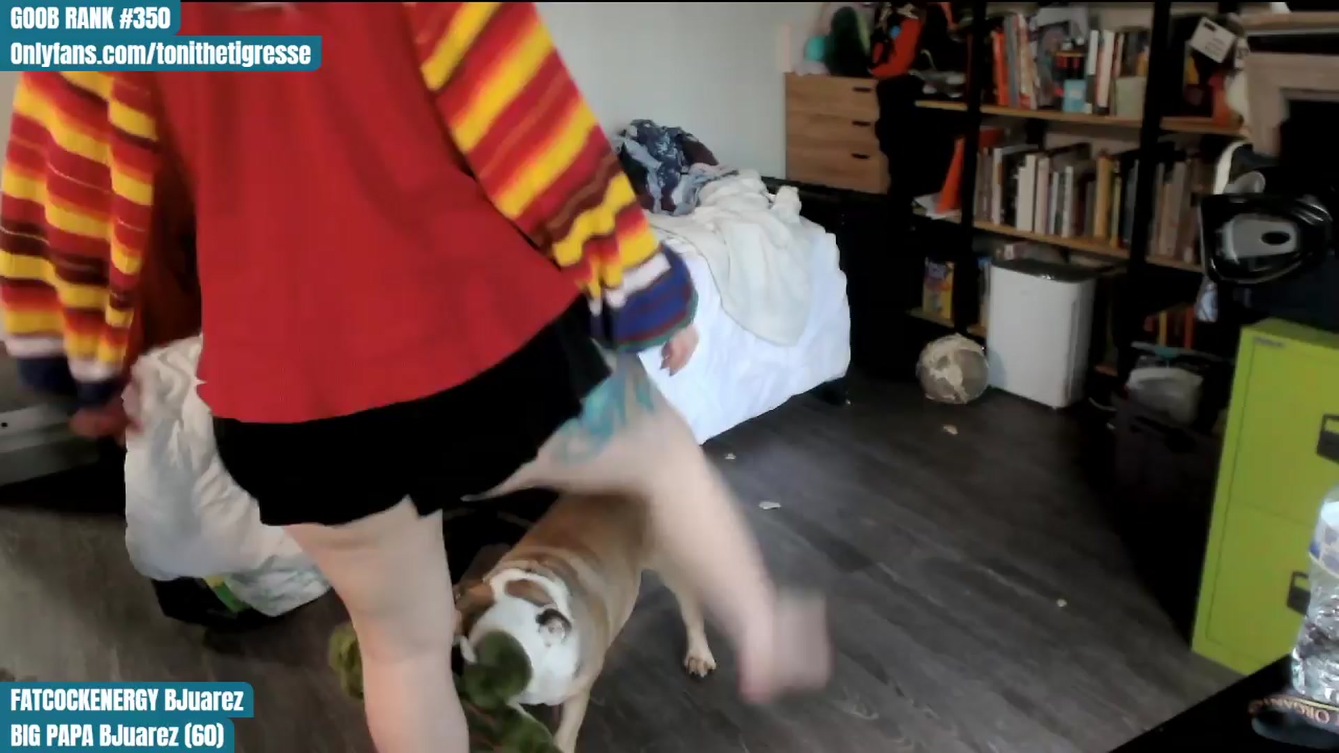 Gallery image thumbnail from ToniTigresse's myfreecams stream on, 04/06/2024, 17:13 image 17 of 20