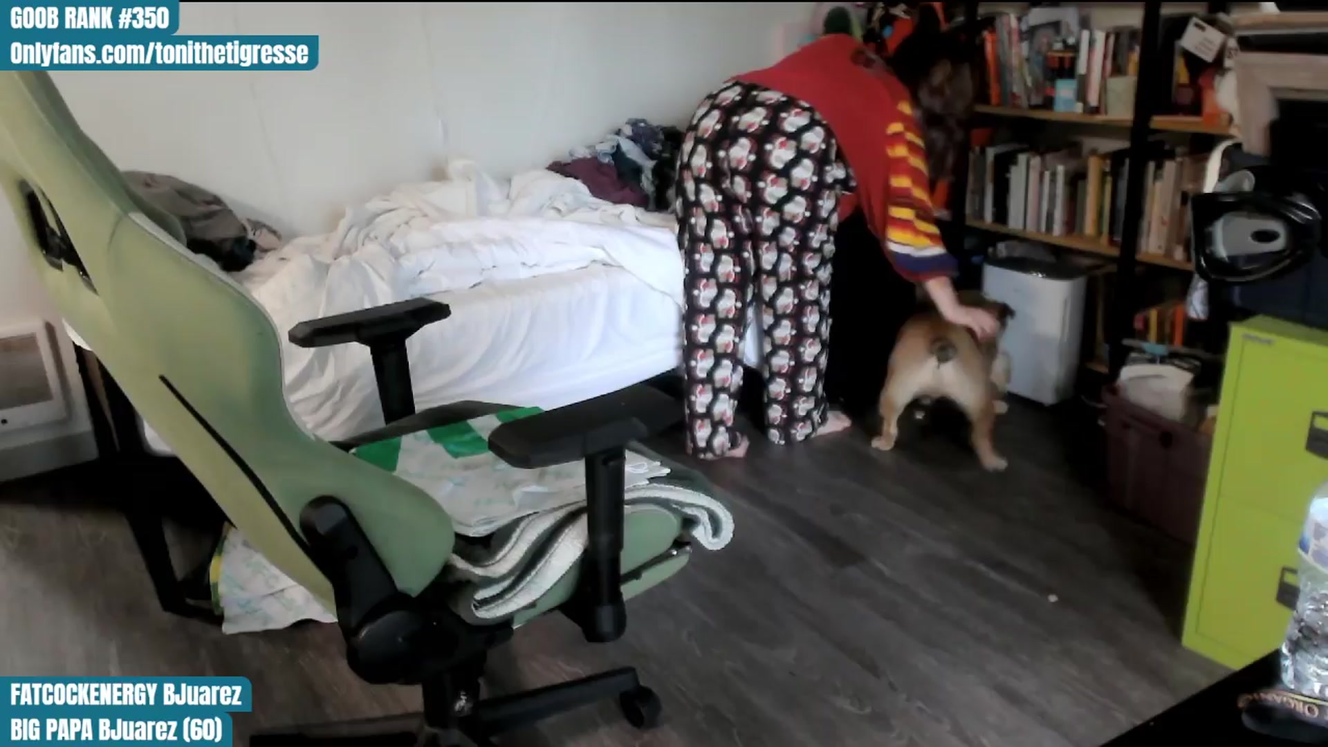 Gallery image thumbnail from ToniTigresse's myfreecams stream on, 04/06/2024, 17:13 image 14 of 20