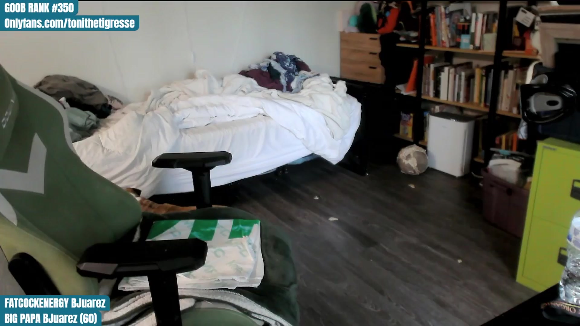 Gallery image thumbnail from ToniTigresse's myfreecams stream on, 04/06/2024, 17:13 image 15 of 20