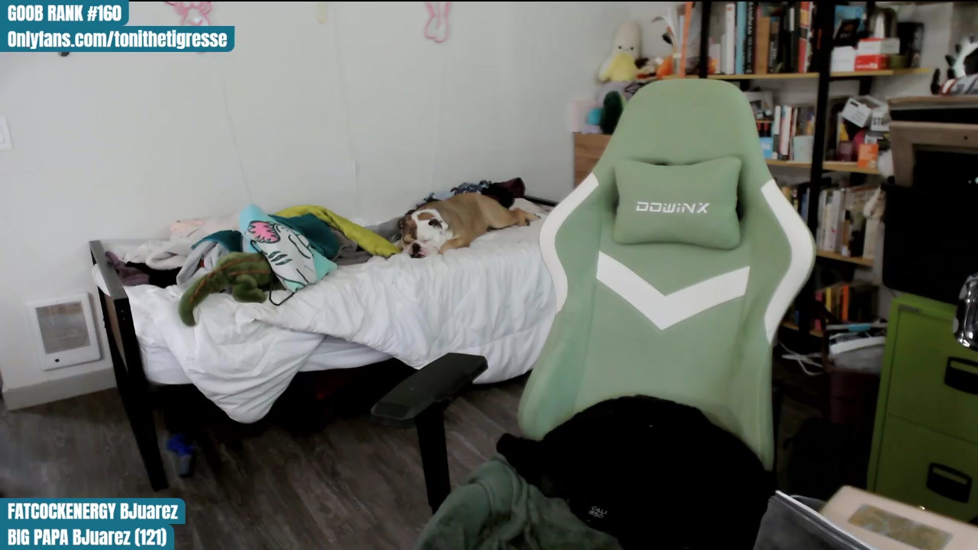 Gallery image thumbnail from ToniTigresse's myfreecams stream on, 04/11/2024, 24:00 image 19 of 20