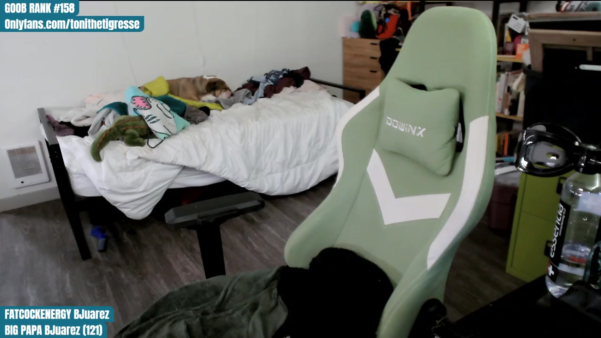 Gallery image thumbnail from ToniTigresse's myfreecams stream on, 04/11/2024, 01:48 image 18 of 20