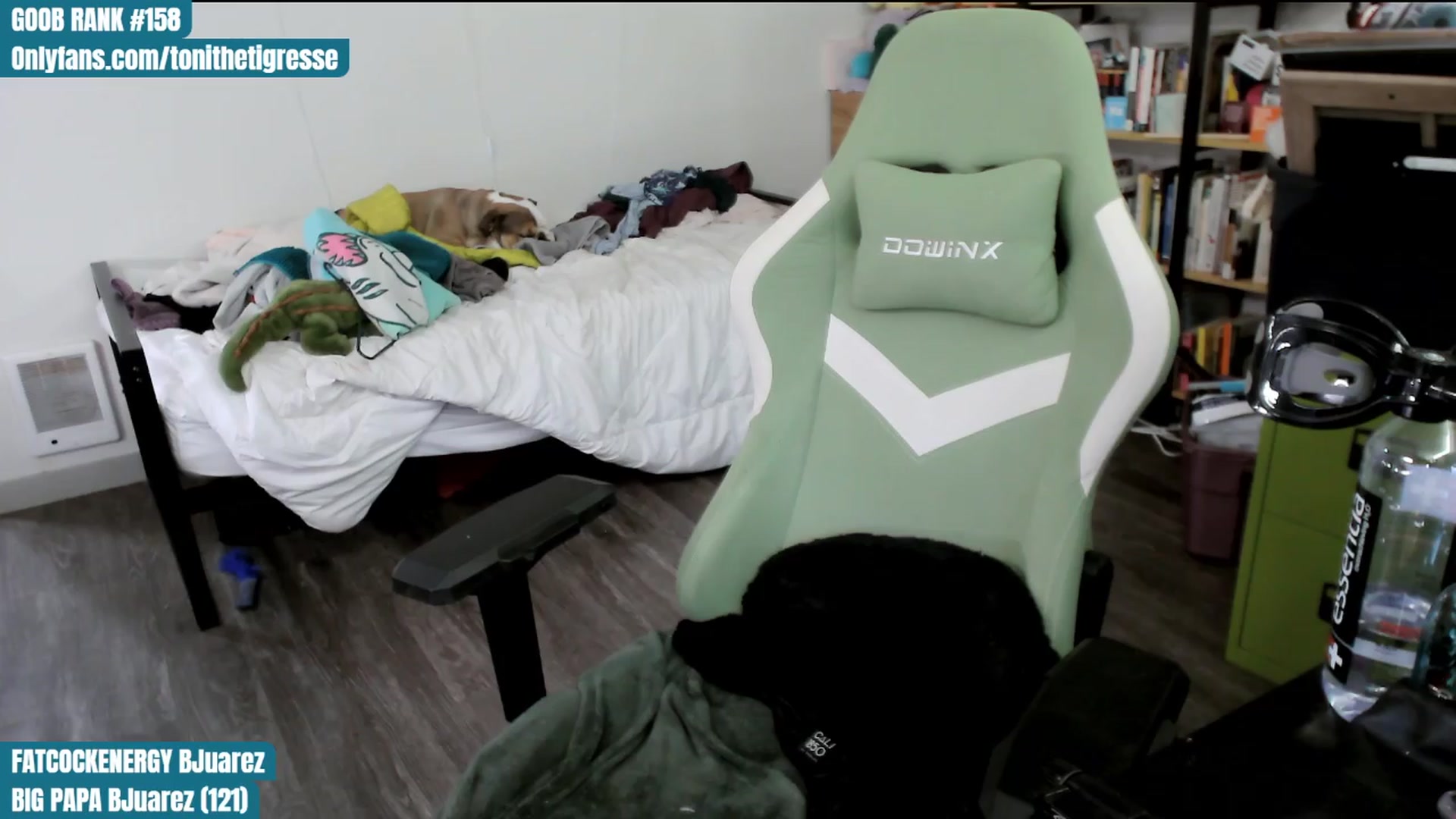 Gallery image thumbnail from ToniTigresse's myfreecams stream on, 04/11/2024, 01:48 image 13 of 20