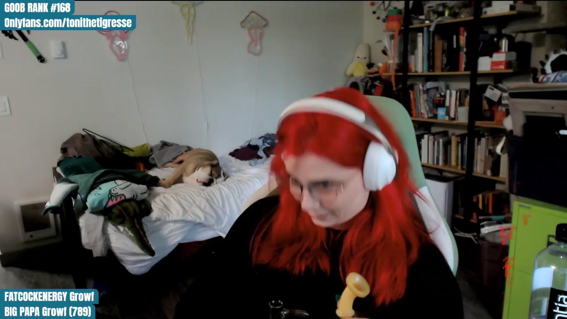 Gallery image thumbnail from ToniTigresse's myfreecams stream on, 04/12/2024, 24:58 image 9 of 20