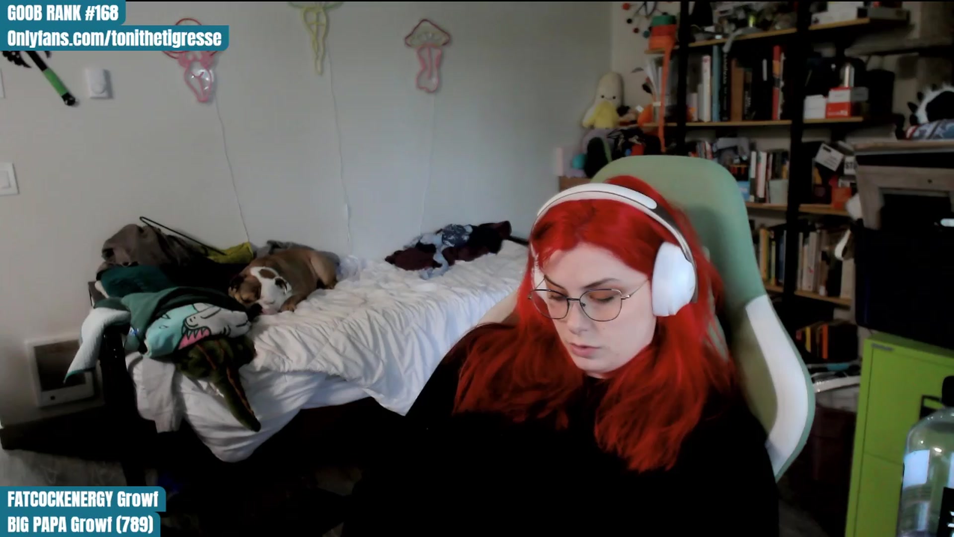 Gallery image thumbnail from ToniTigresse's myfreecams stream on, 04/12/2024, 24:58 image 13 of 20
