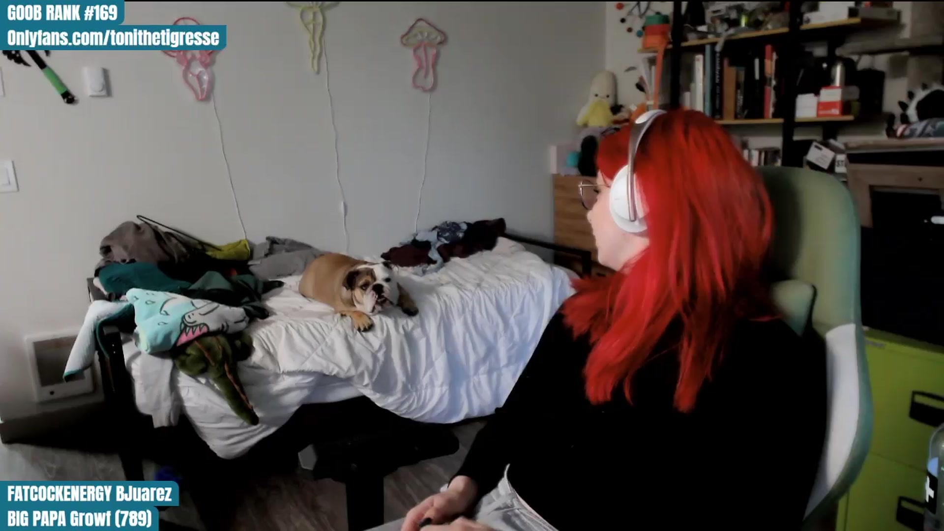 Gallery image thumbnail from ToniTigresse's myfreecams stream on, 04/12/2024, 02:42 image 10 of 20