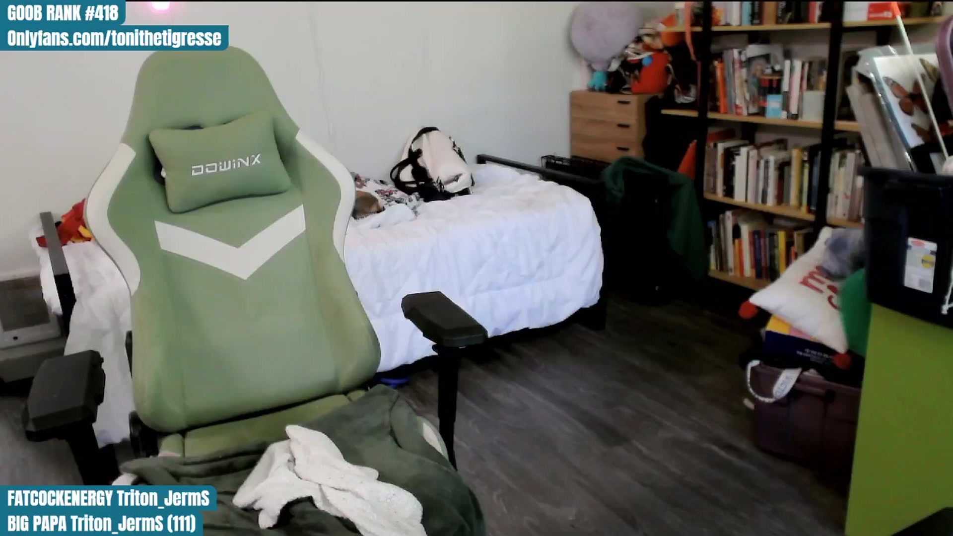 Gallery image thumbnail from ToniTigresse's myfreecams stream on, 05/03/2024, 01:36 image 7 of 20