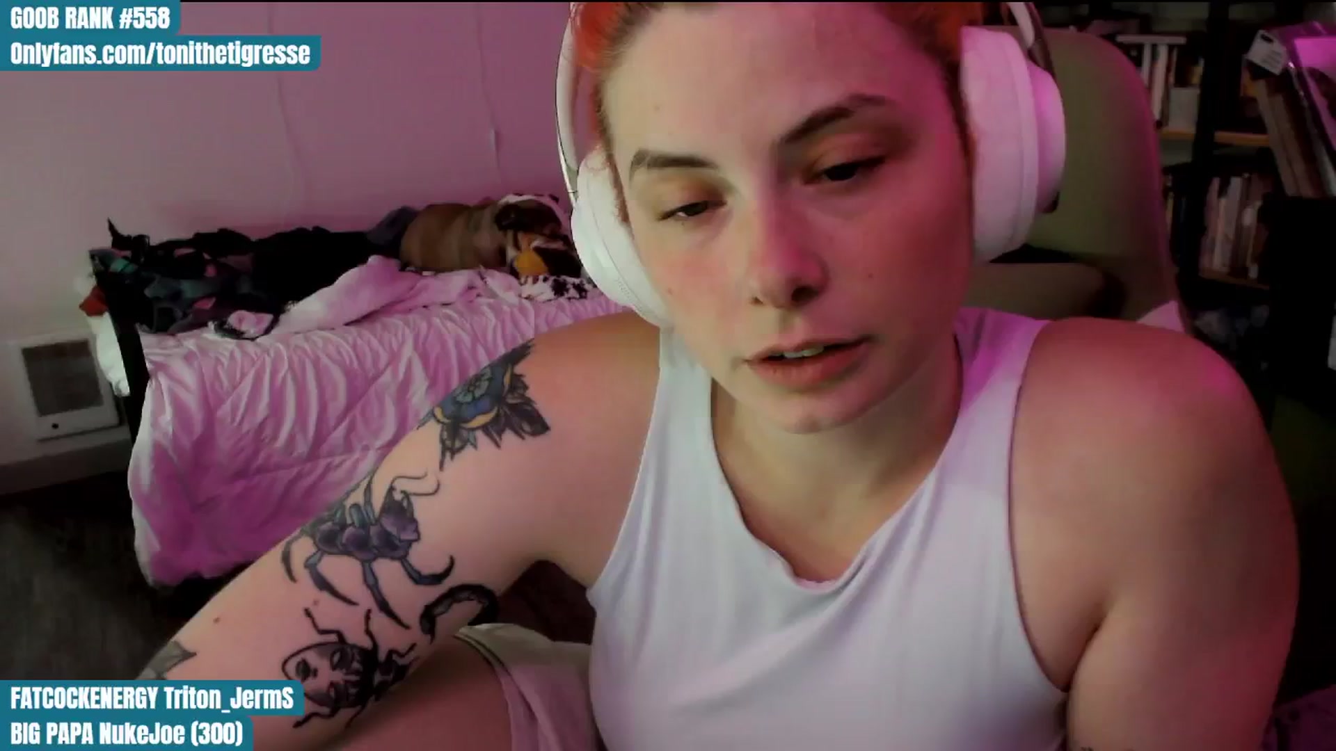 Gallery image thumbnail from ToniTigresse's myfreecams stream on, 05/04/2024, 01:13 image 18 of 20