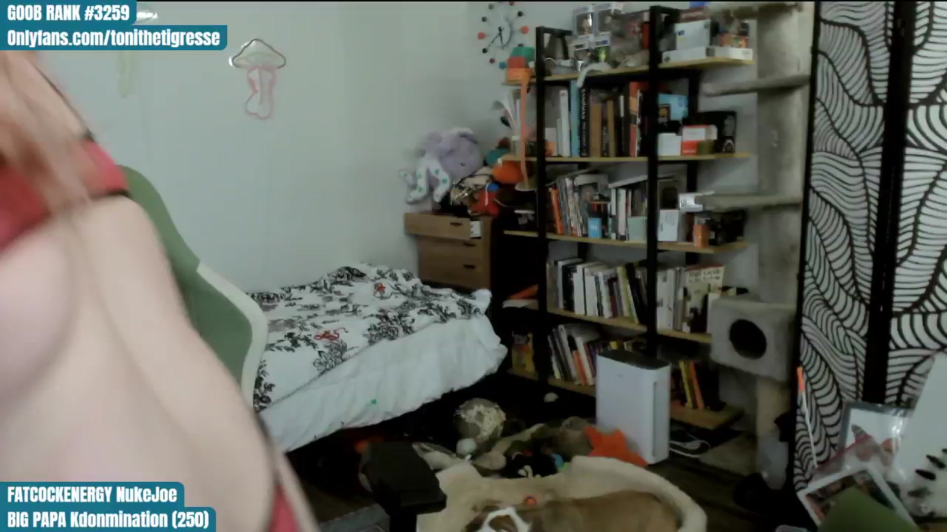 Gallery image thumbnail from ToniTigresse's myfreecams stream on, 07/24/2024, 24:58 image 6 of 20