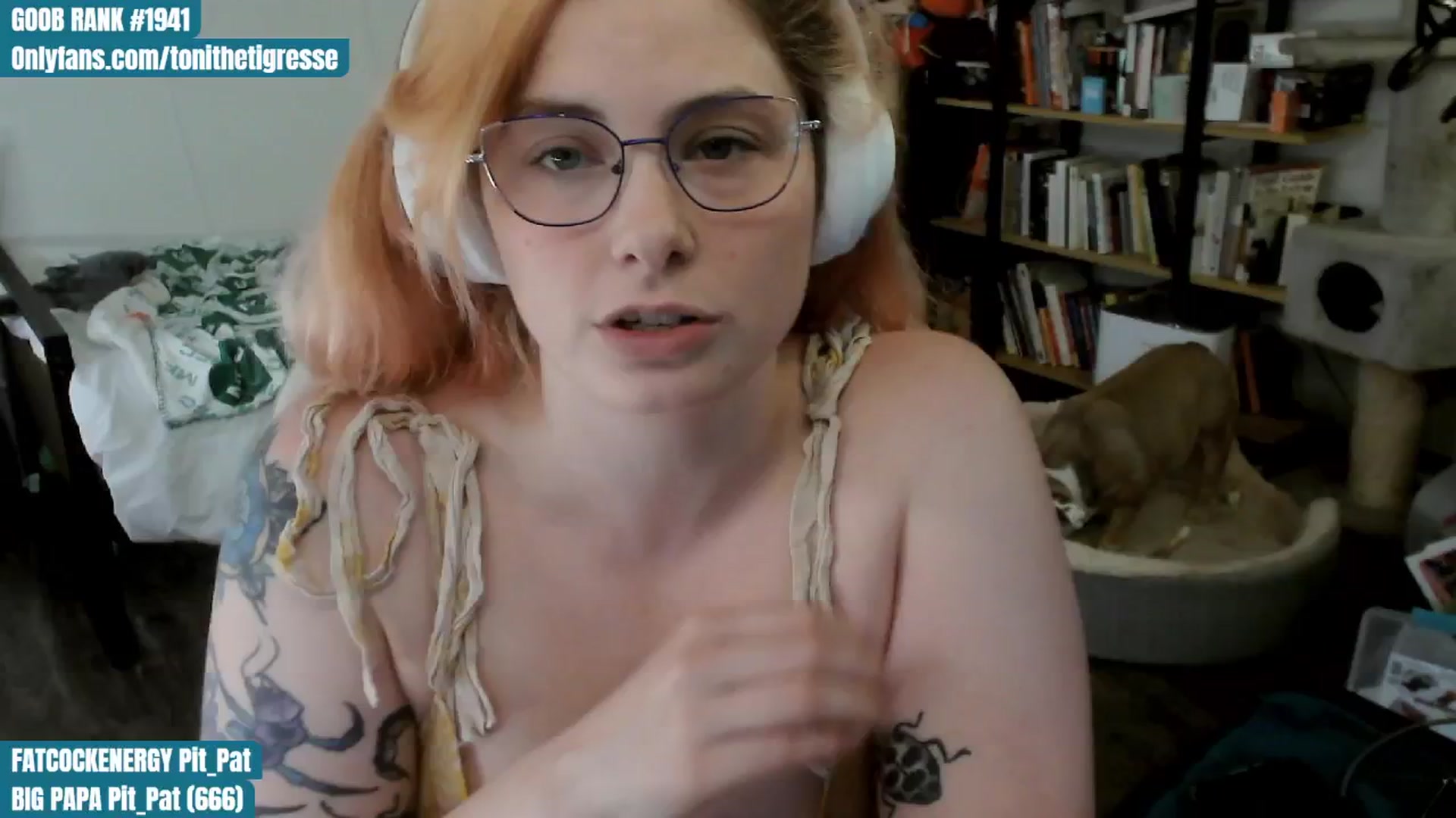 Gallery image thumbnail from ToniTigresse's myfreecams stream on, 07/26/2024, 24:18 image 13 of 20