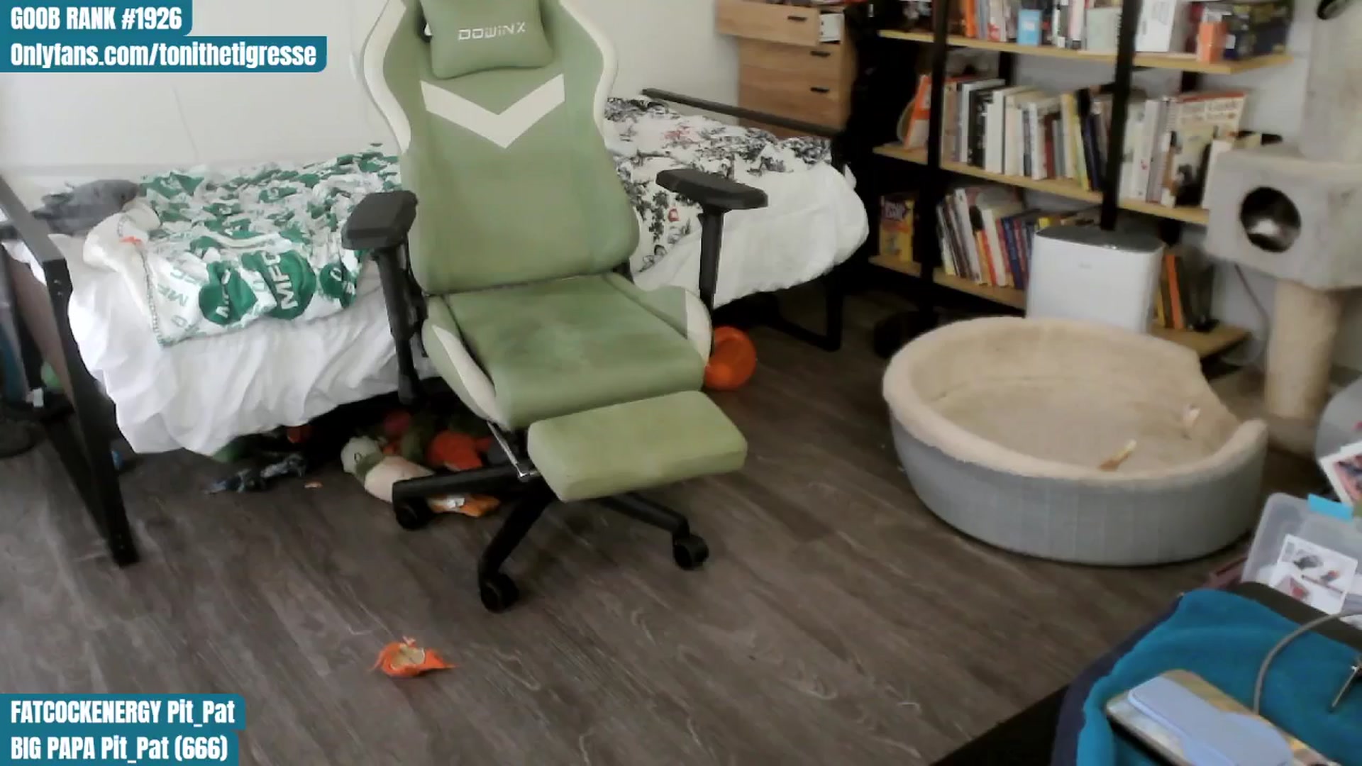 Gallery image thumbnail from ToniTigresse's myfreecams stream on, 07/26/2024, 24:18 image 20 of 20