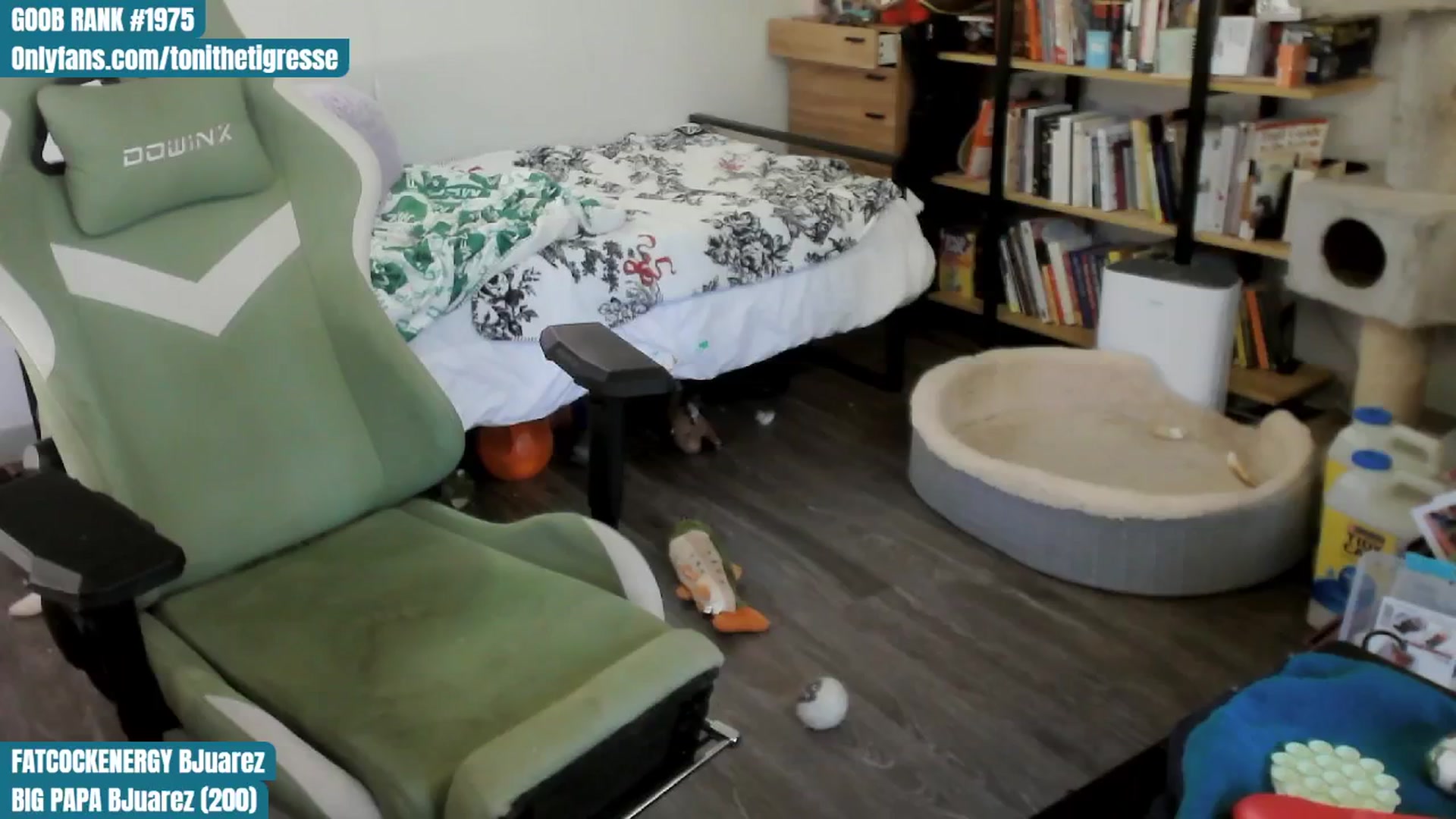 Gallery image thumbnail from ToniTigresse's myfreecams stream on, 07/27/2024, 04:12 image 5 of 20