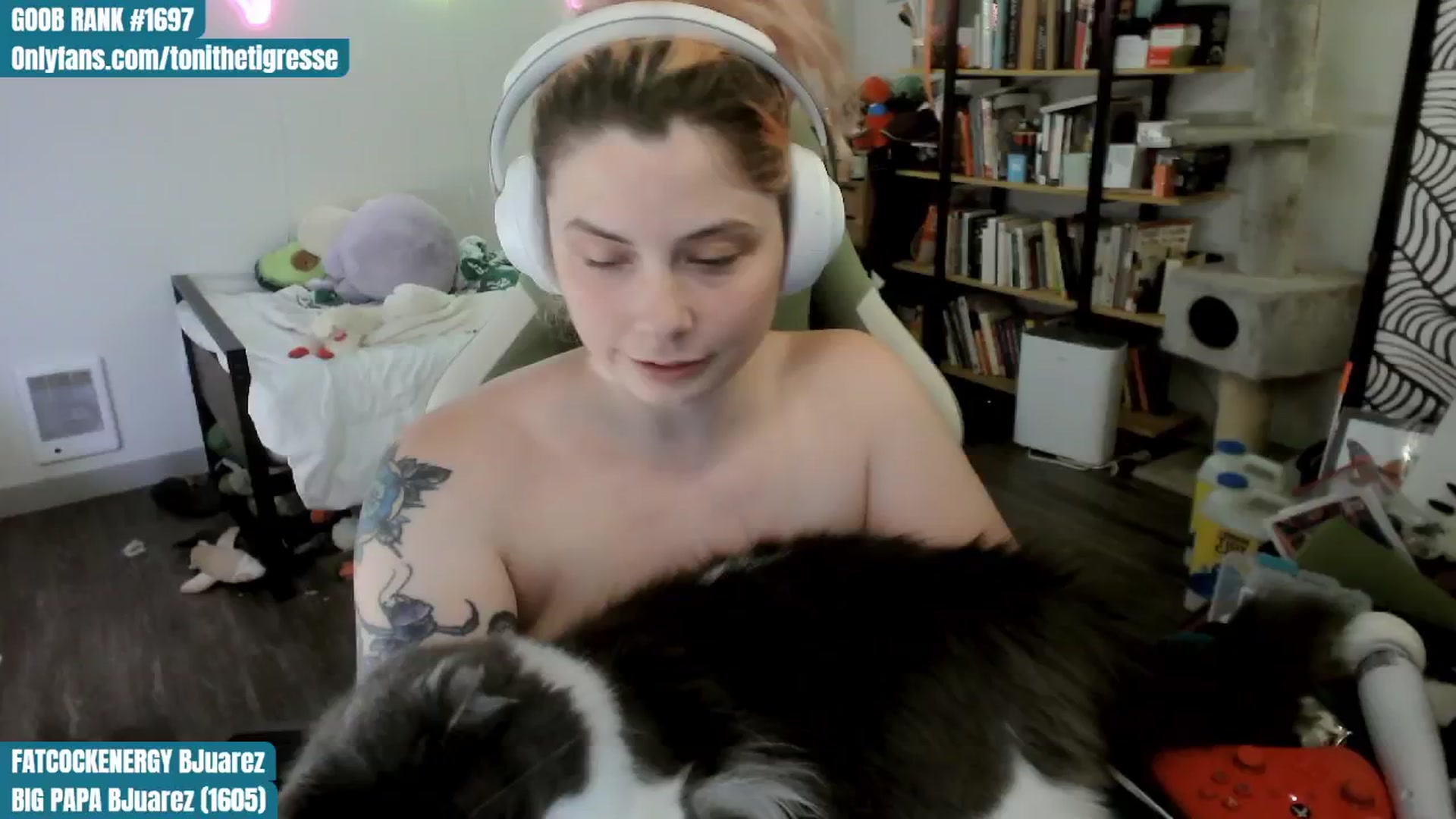 Gallery image thumbnail from ToniTigresse's myfreecams stream on, 07/27/2024, 04:12 image 19 of 20