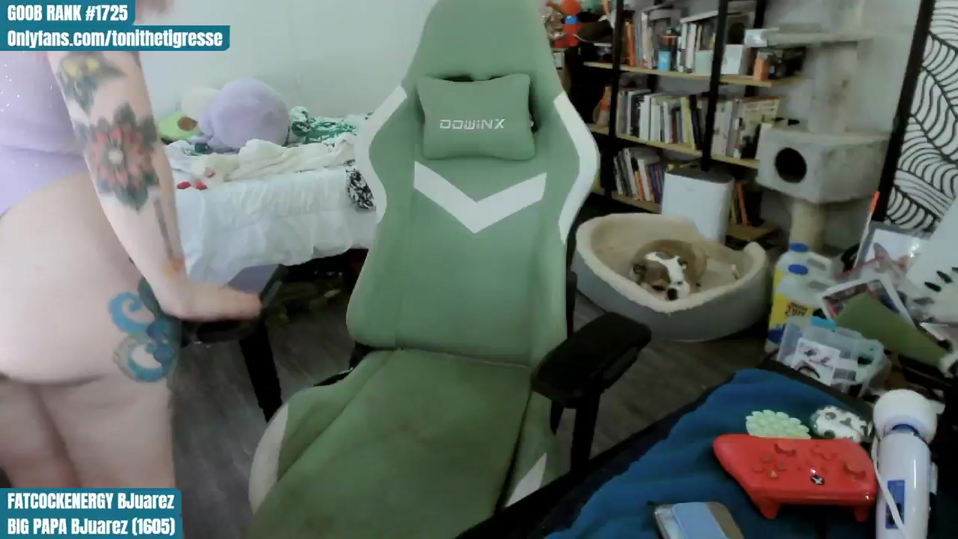 Gallery image thumbnail from ToniTigresse's myfreecams stream on, 07/27/2024, 04:12 image 15 of 20