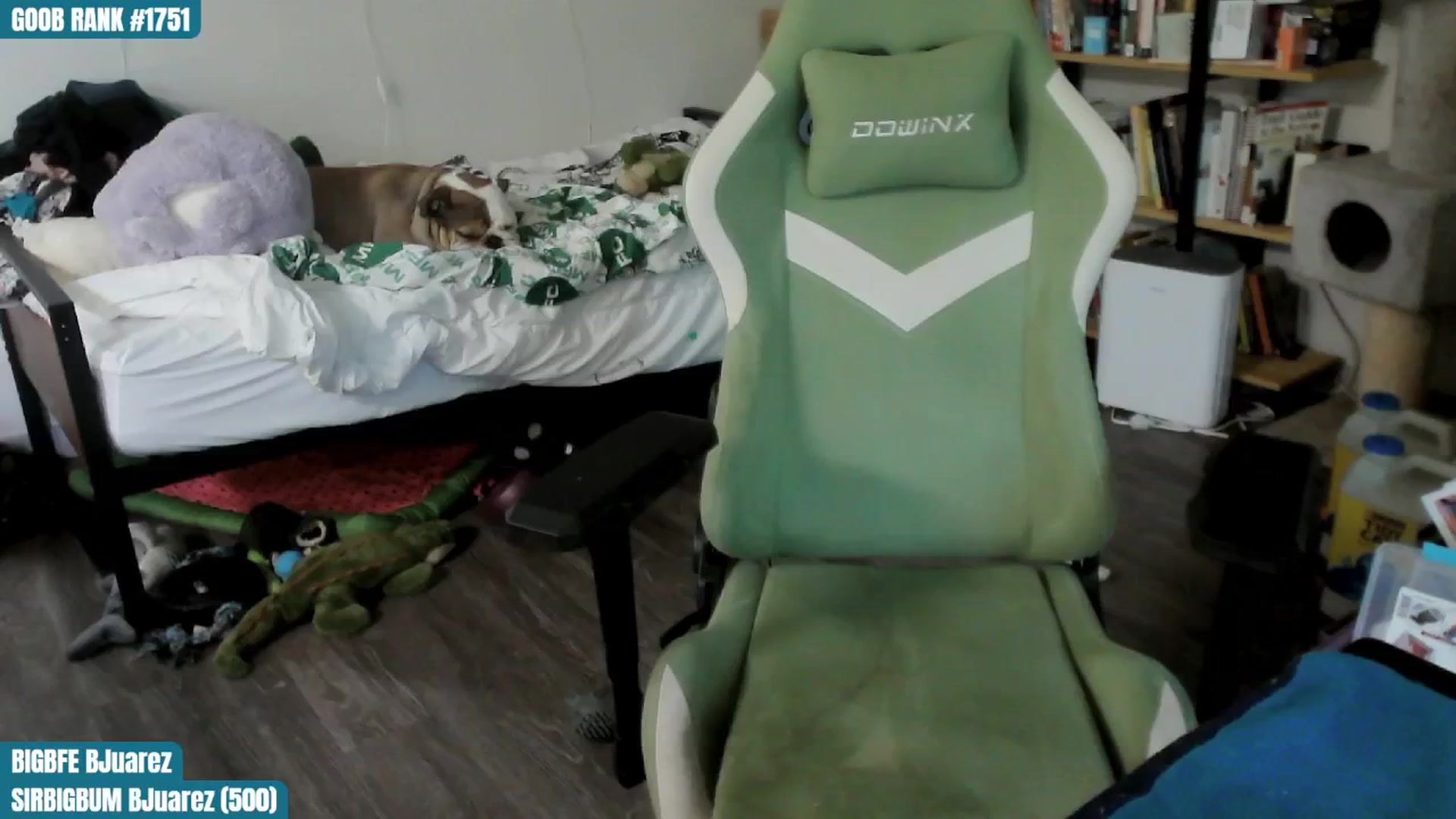Gallery image thumbnail from ToniTigresse's myfreecams stream on, 07/31/2024, 24:02 image 13 of 20