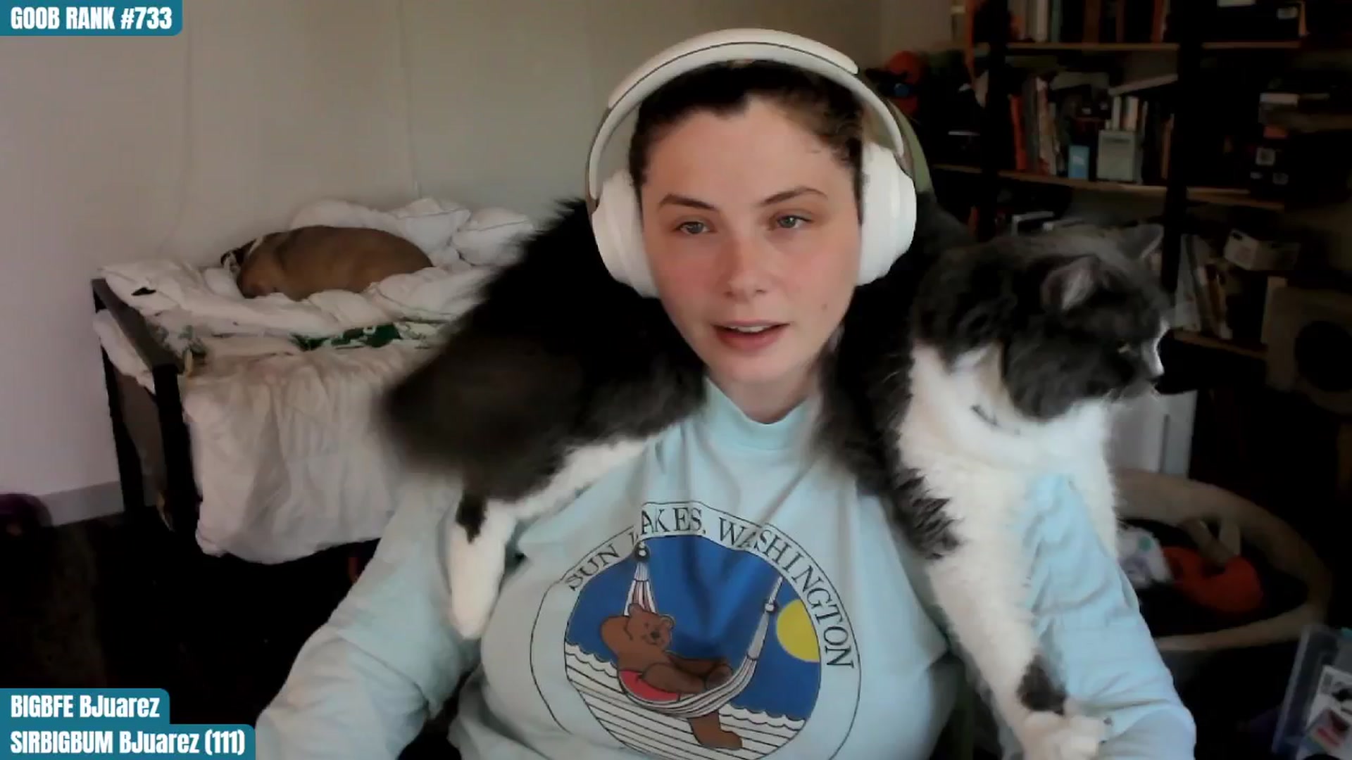 Gallery image thumbnail from ToniTigresse's myfreecams stream on, 08/10/2024, 24:01 image 7 of 20