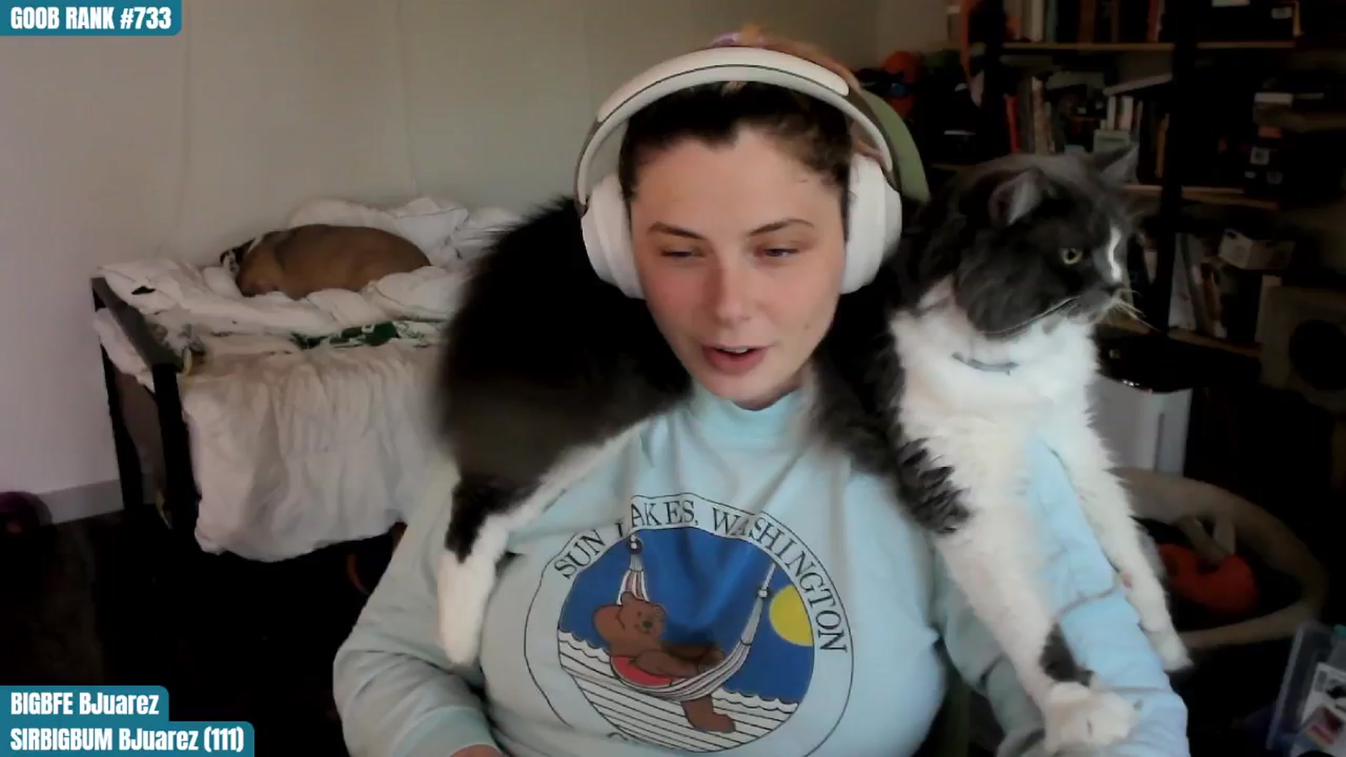 Gallery image thumbnail from ToniTigresse's myfreecams stream on, 08/10/2024, 24:01 image 6 of 20