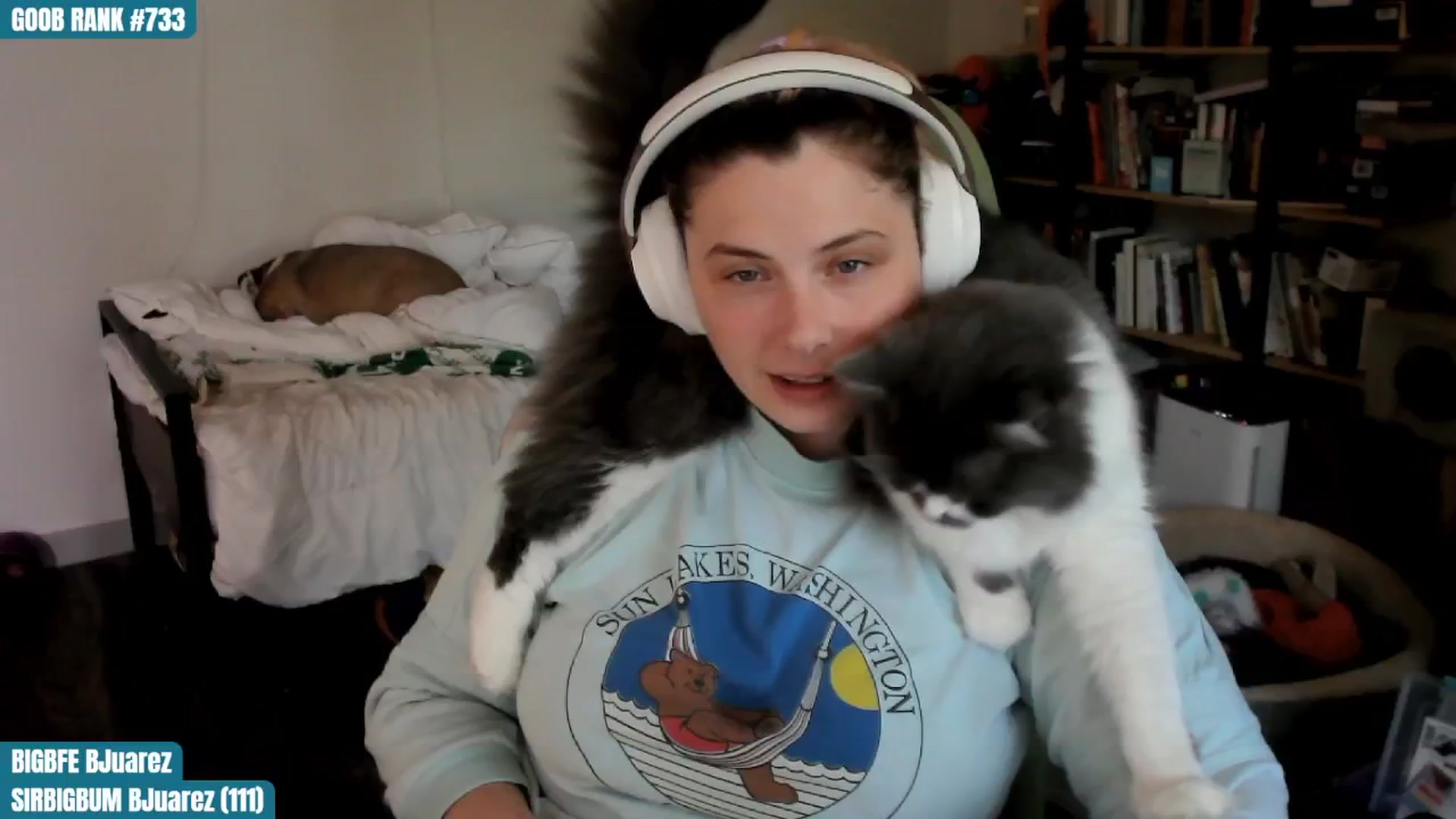 Gallery image thumbnail from ToniTigresse's myfreecams stream on, 08/10/2024, 24:01 image 9 of 20