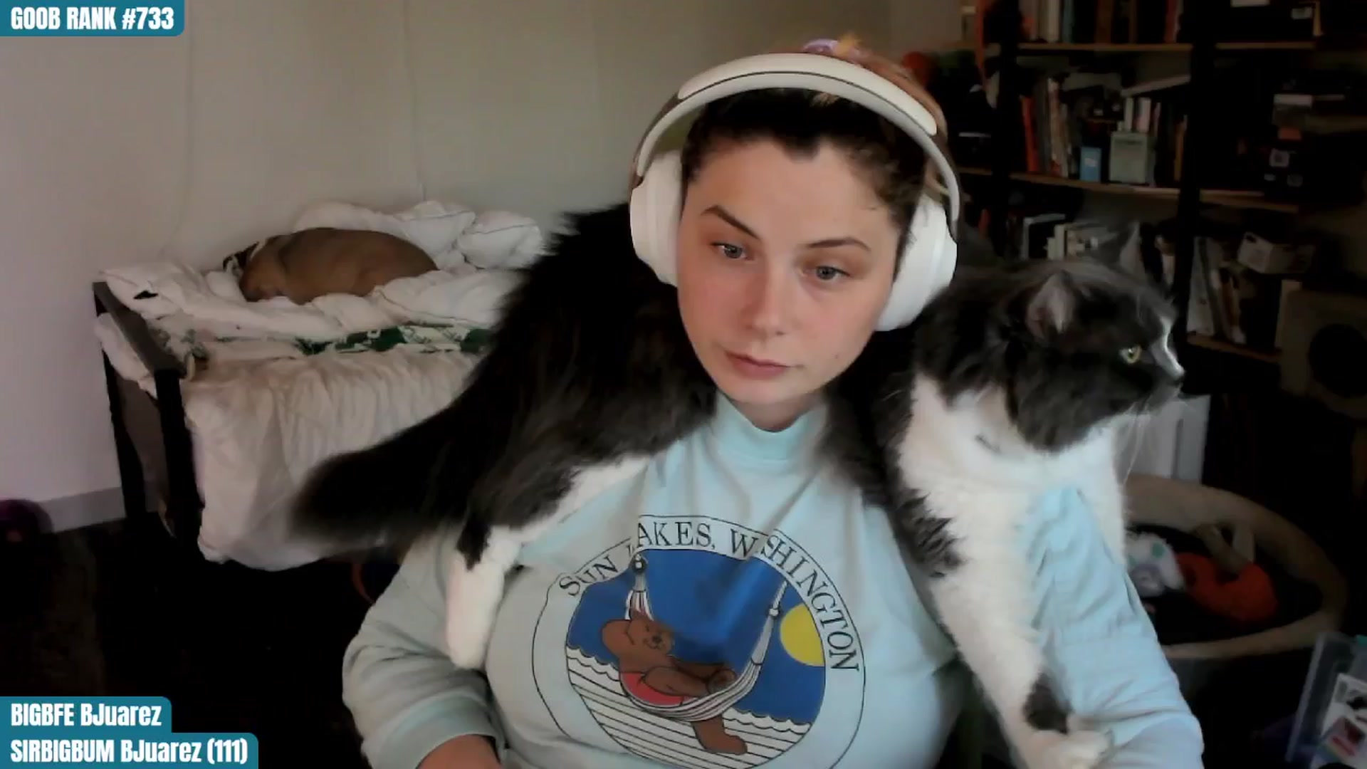 Gallery image thumbnail from ToniTigresse's myfreecams stream on, 08/10/2024, 24:01 image 8 of 20