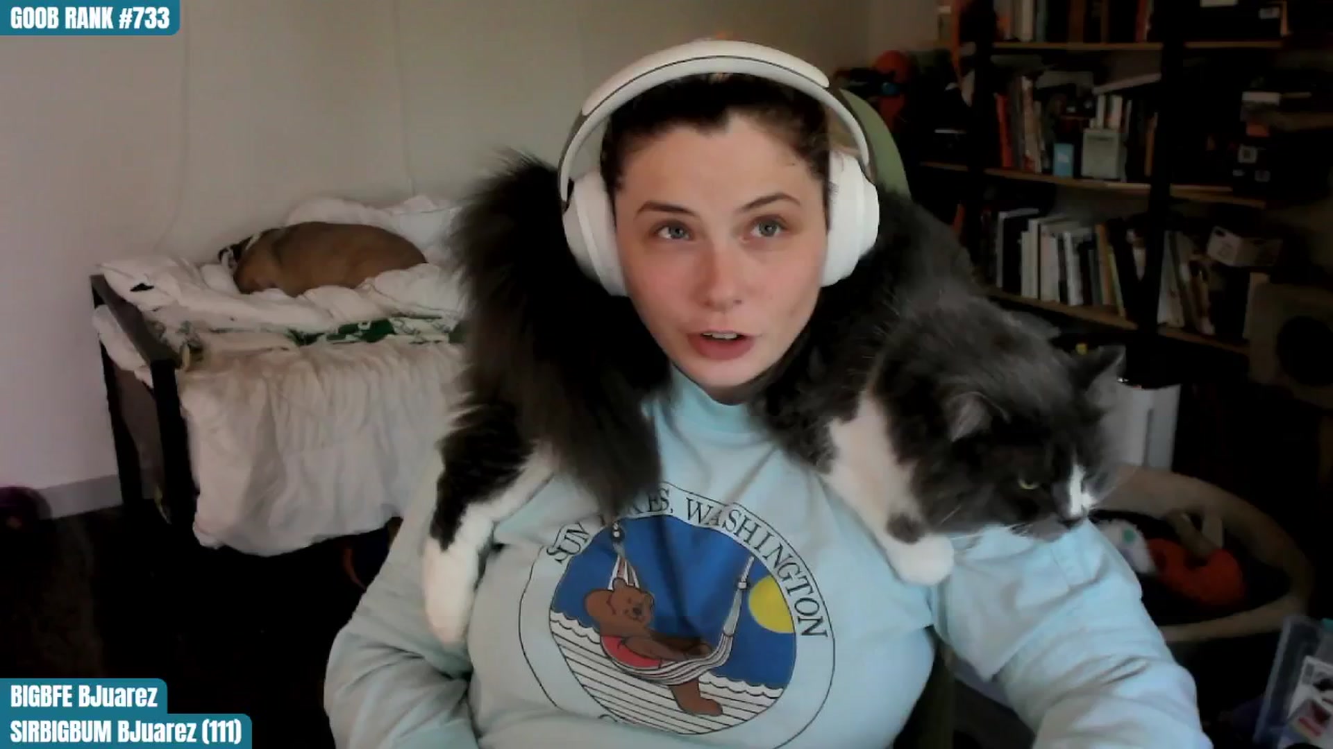 Gallery image thumbnail from ToniTigresse's myfreecams stream on, 08/10/2024, 24:01 image 5 of 20