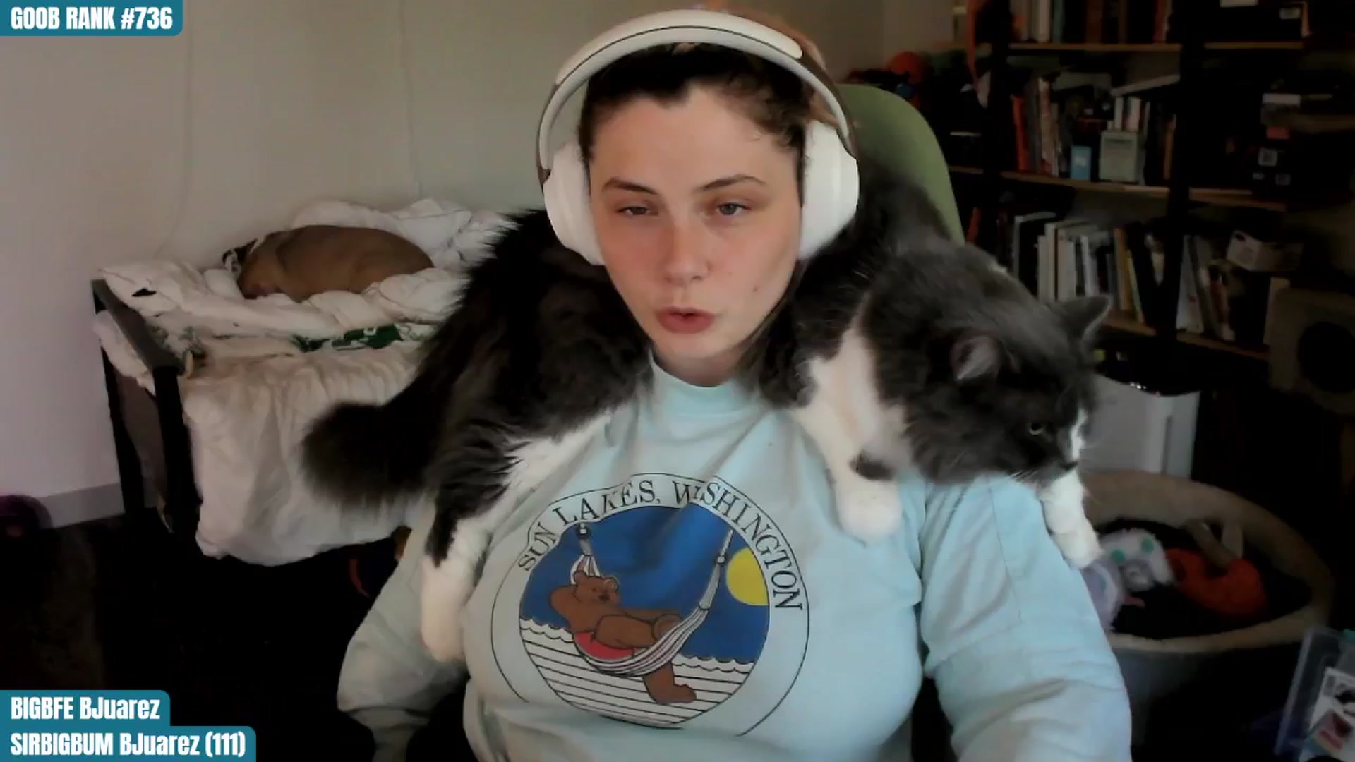 Gallery image thumbnail from ToniTigresse's myfreecams stream on, 08/10/2024, 24:01 image 4 of 20