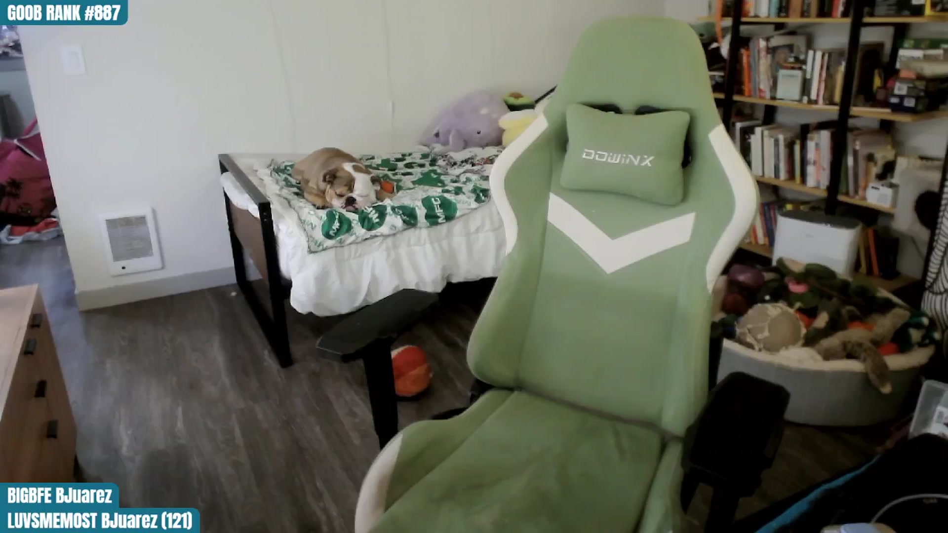 Gallery image thumbnail from ToniTigresse's myfreecams stream on, 08/14/2024, 24:01 image 6 of 20