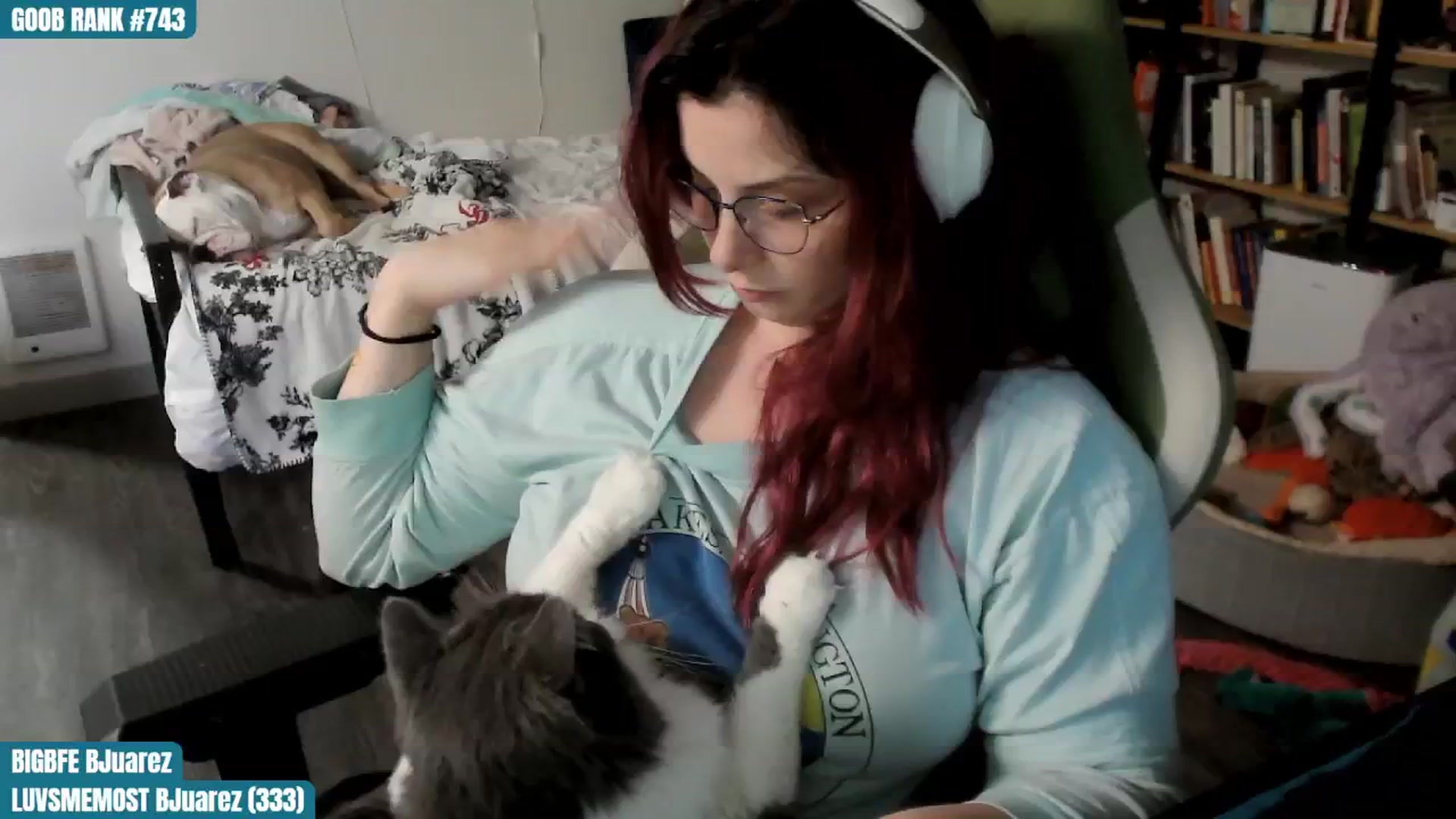 Gallery image thumbnail from ToniTigresse's myfreecams stream on, 08/22/2024, 02:02 image 11 of 20