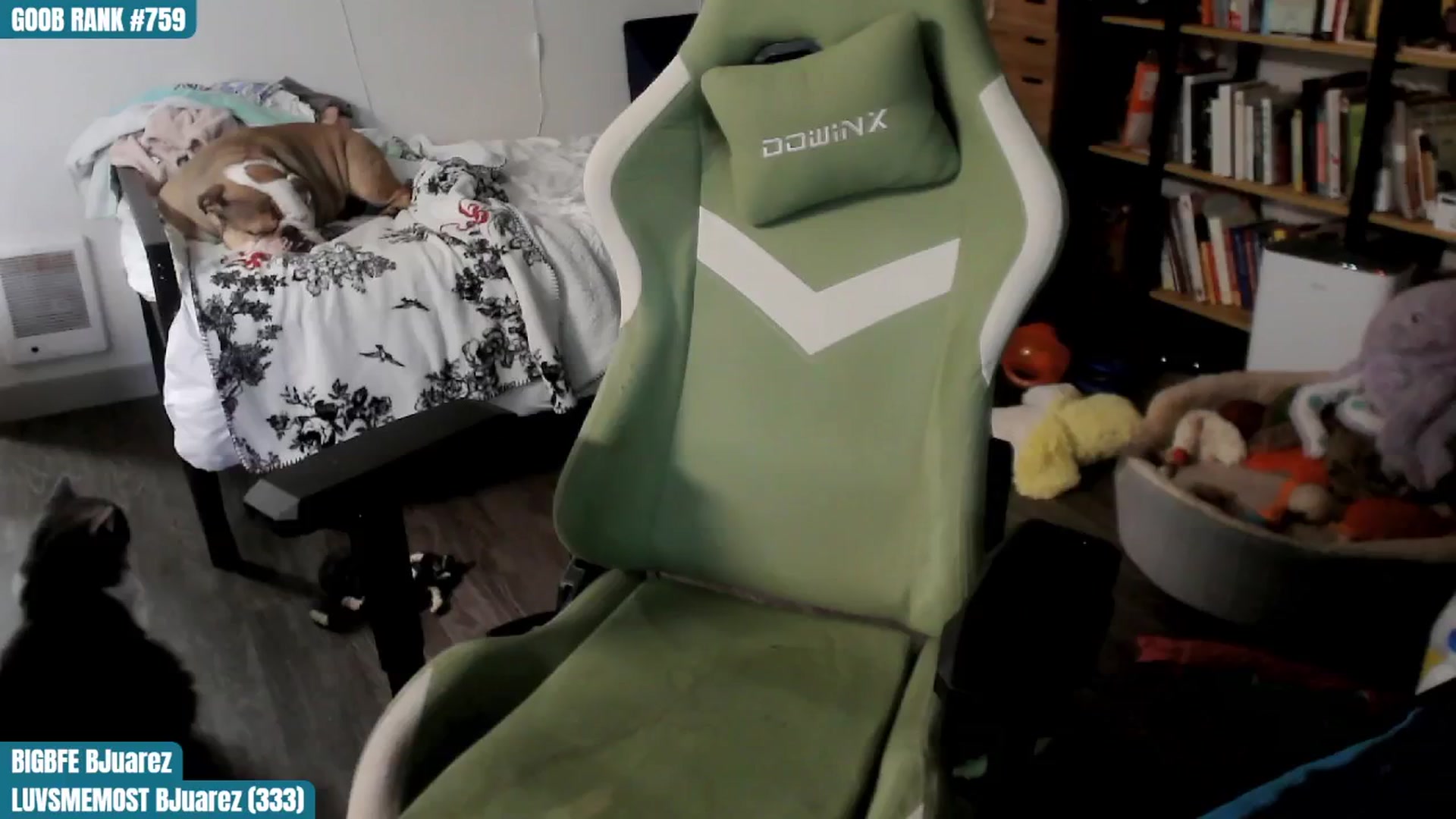 Gallery image thumbnail from ToniTigresse's myfreecams stream on, 08/22/2024, 02:02 image 6 of 20