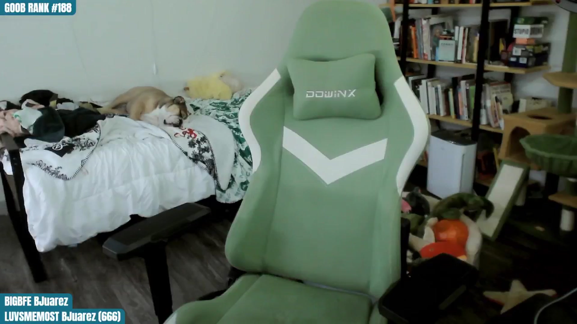 Gallery image thumbnail from ToniTigresse's myfreecams stream on, 09/02/2024, 01:03 image 5 of 20