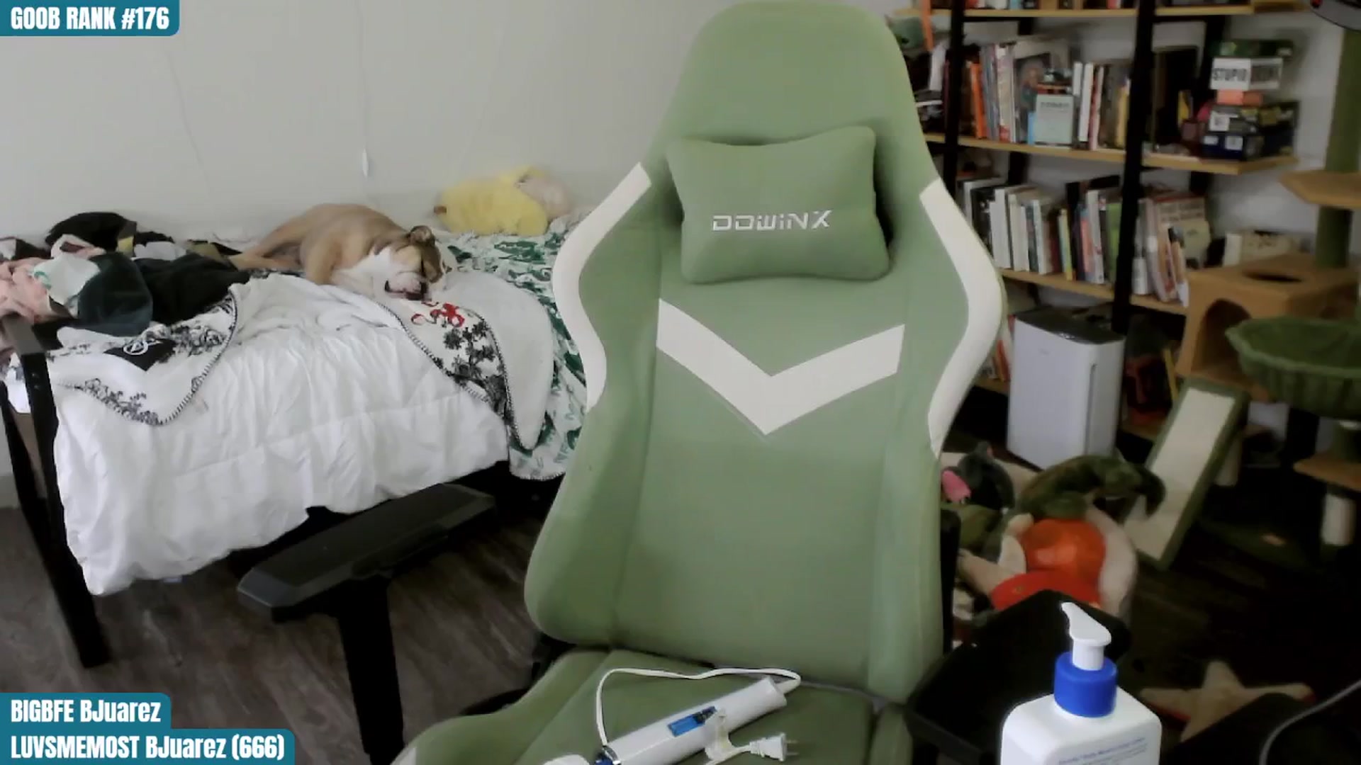 Gallery image thumbnail from ToniTigresse's myfreecams stream on, 09/02/2024, 01:03 image 7 of 20