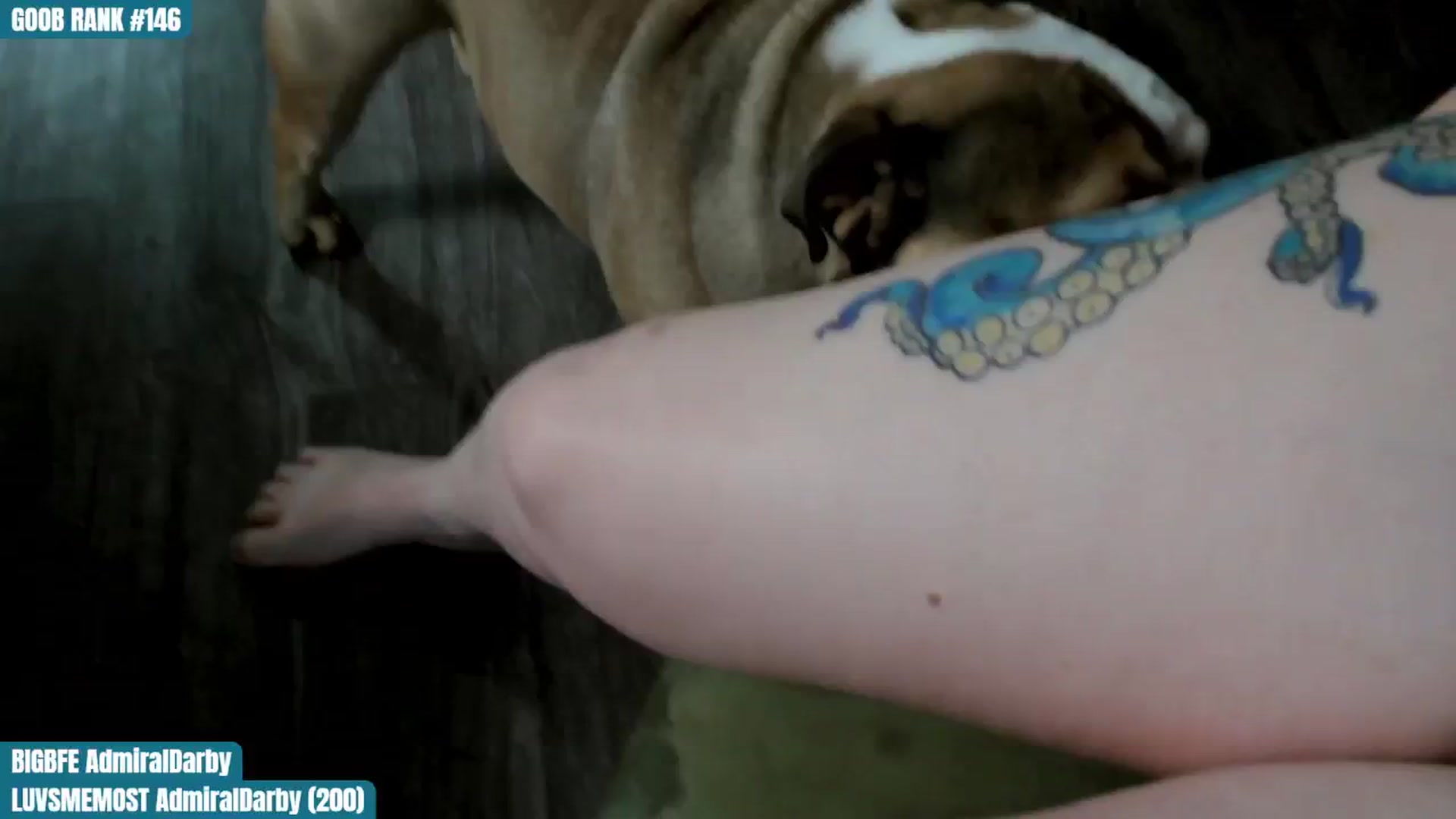 Gallery image thumbnail from ToniTigresse's myfreecams stream on, 09/04/2024, 17:57 image 5 of 20