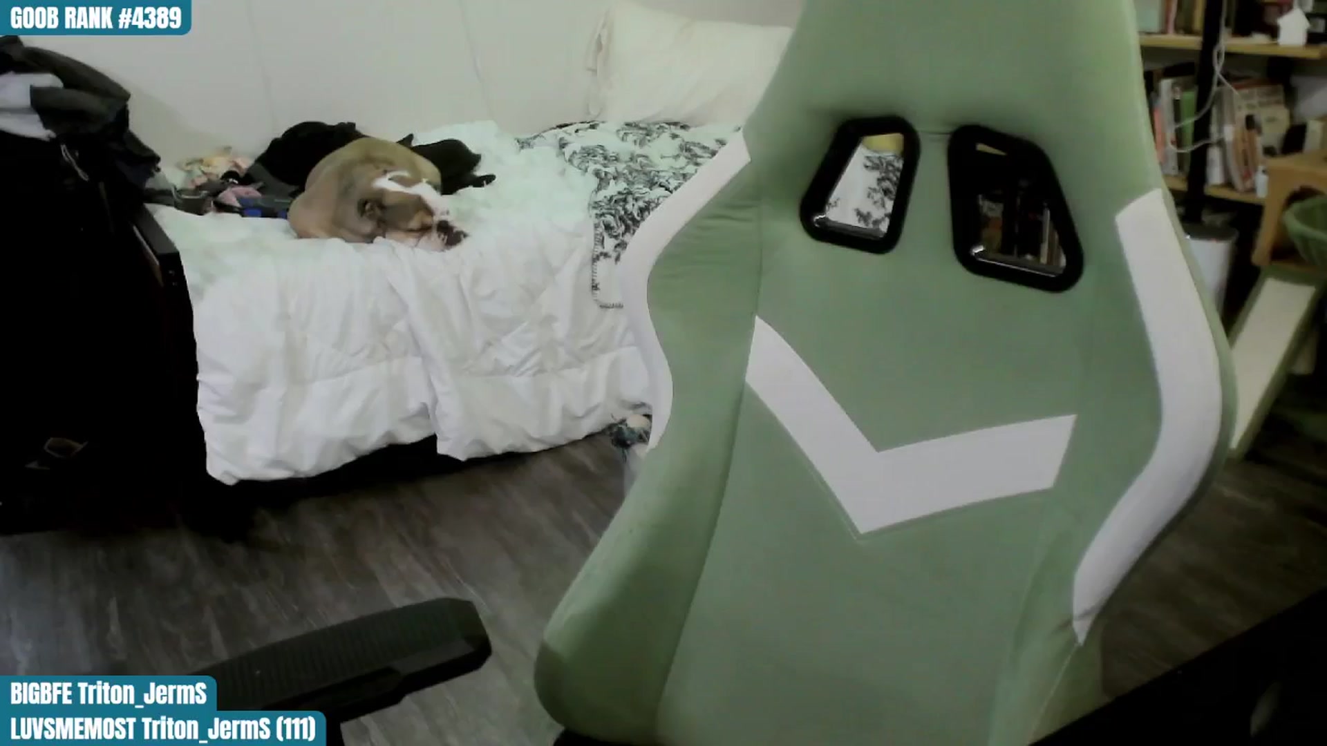 Gallery image thumbnail from ToniTigresse's myfreecams stream on, 10/11/2024, 02:02 image 20 of 20