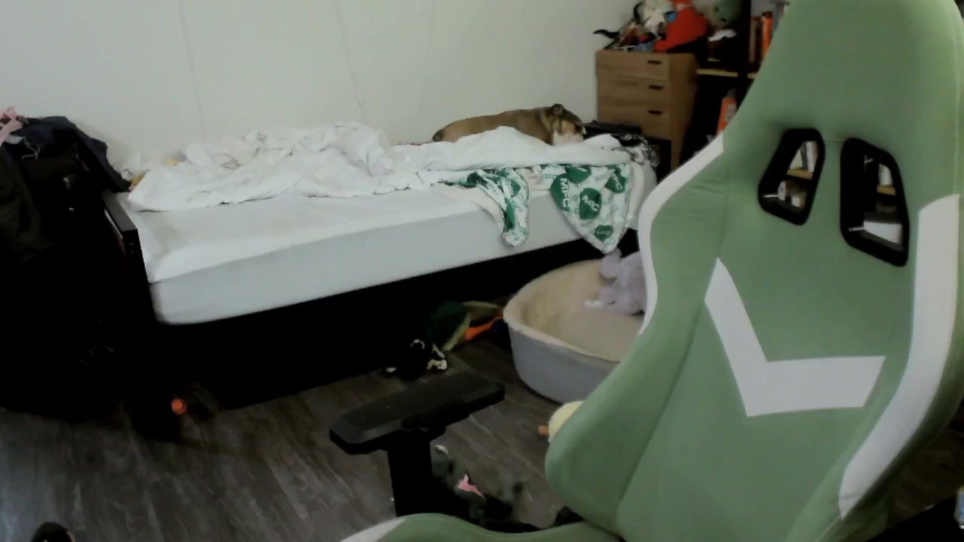 Gallery image thumbnail from ToniTigresse's myfreecams stream on, 10/16/2024, 24:55 image 14 of 20